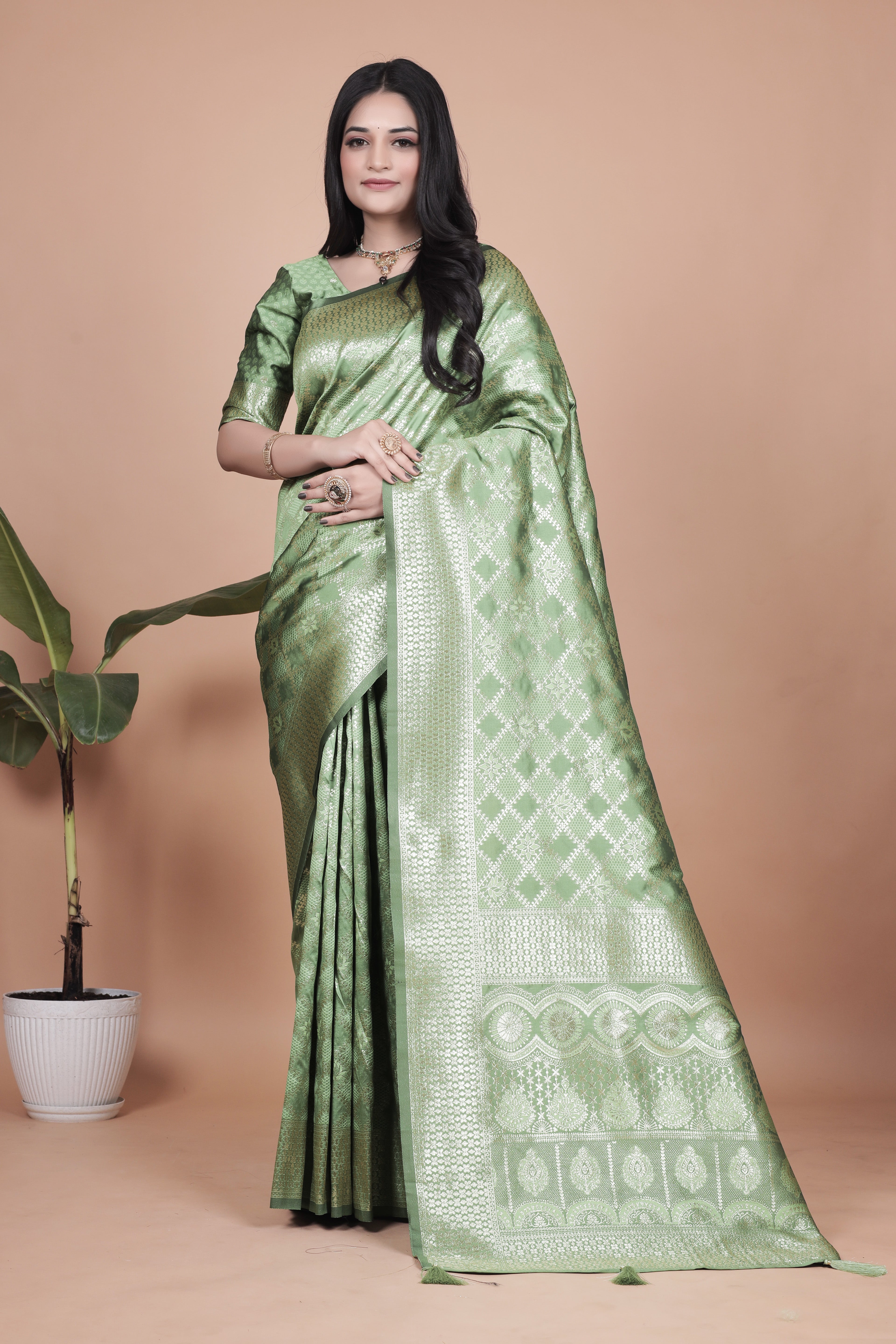 Banarasi Silk Saree with Golden Zari Elegance with 4 color ✨💚