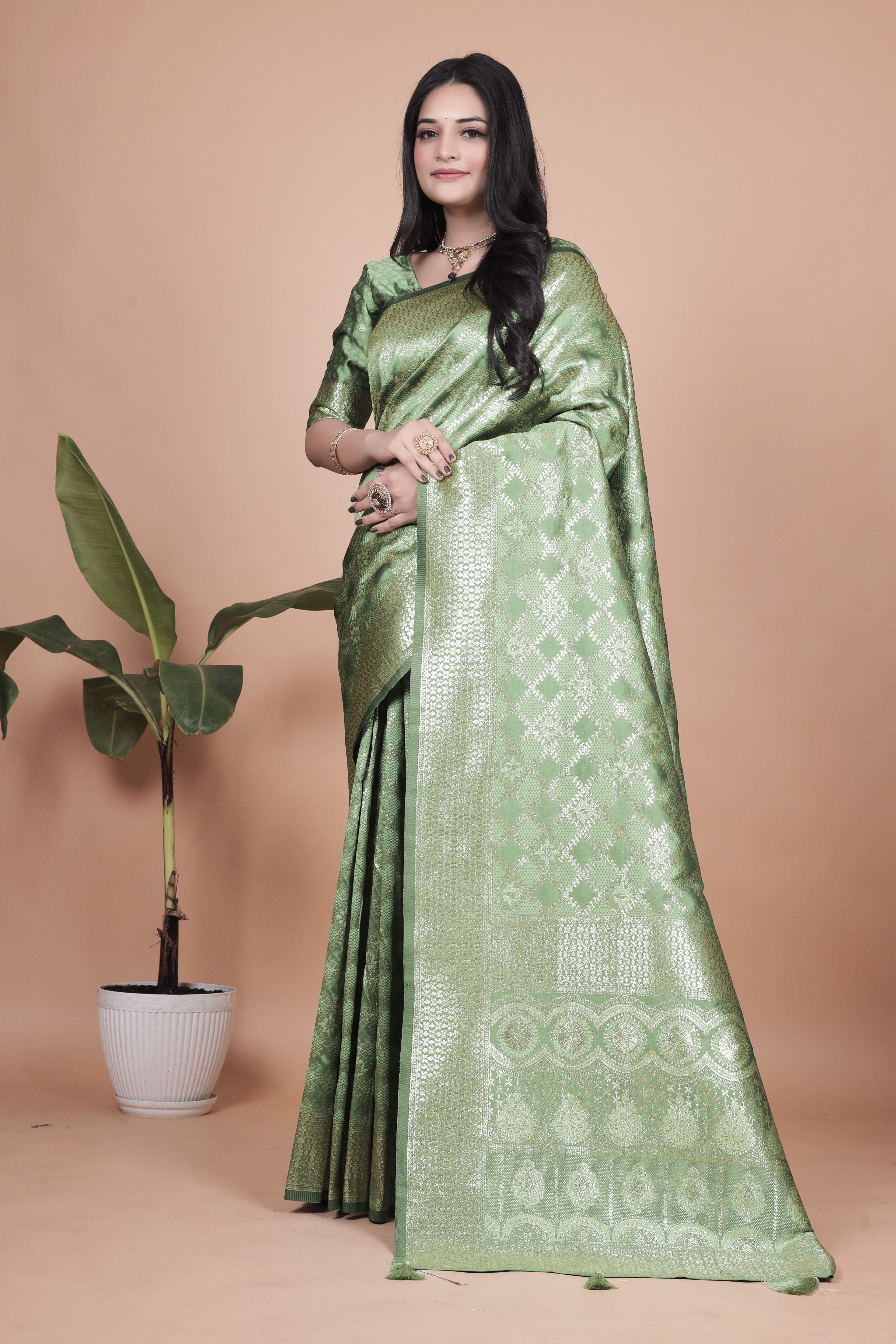 Banarasi Silk Saree with Golden Zari Elegance with 4 color ✨💚