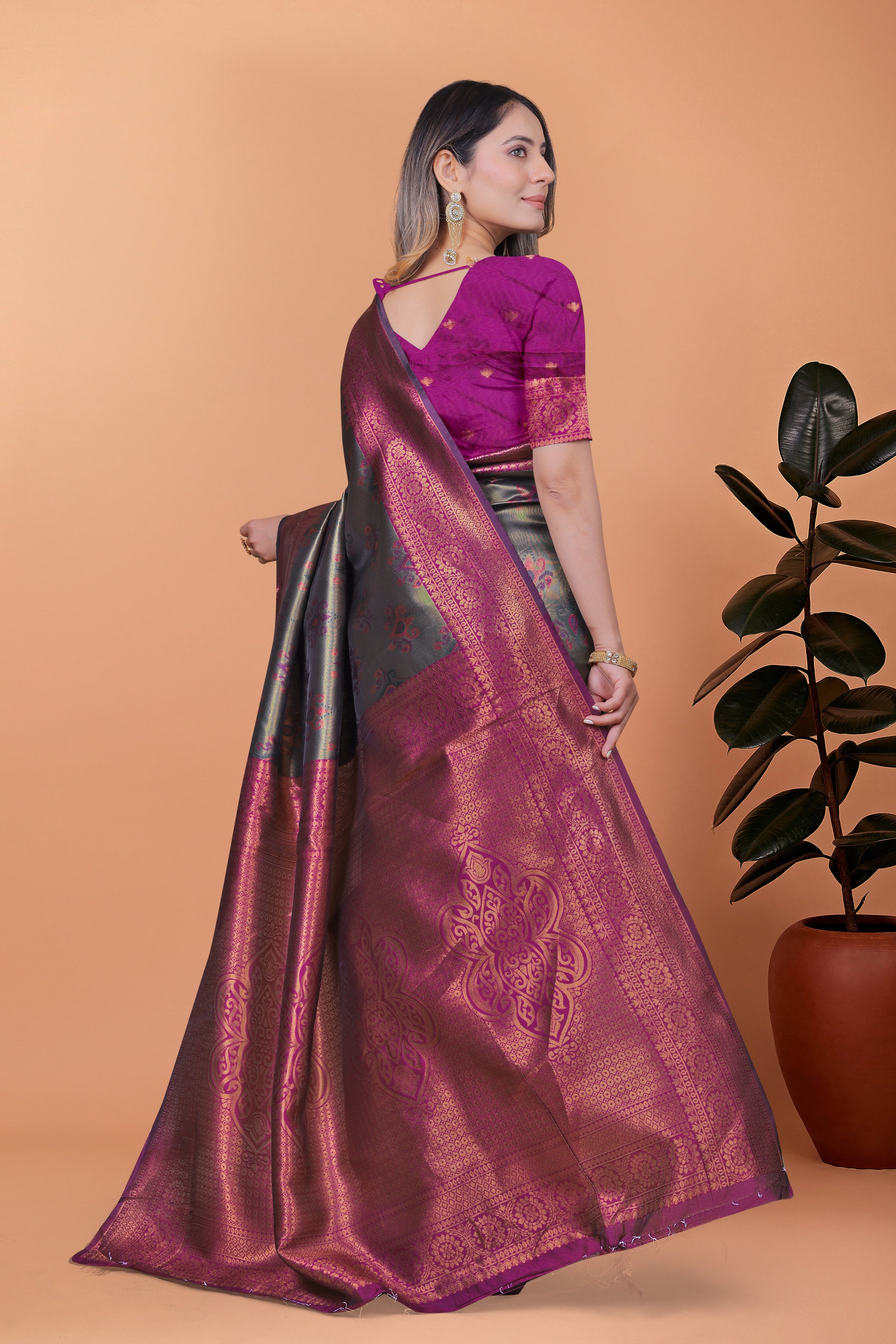 Royal Radiance Banarasi Silk Saree with 8 color option
