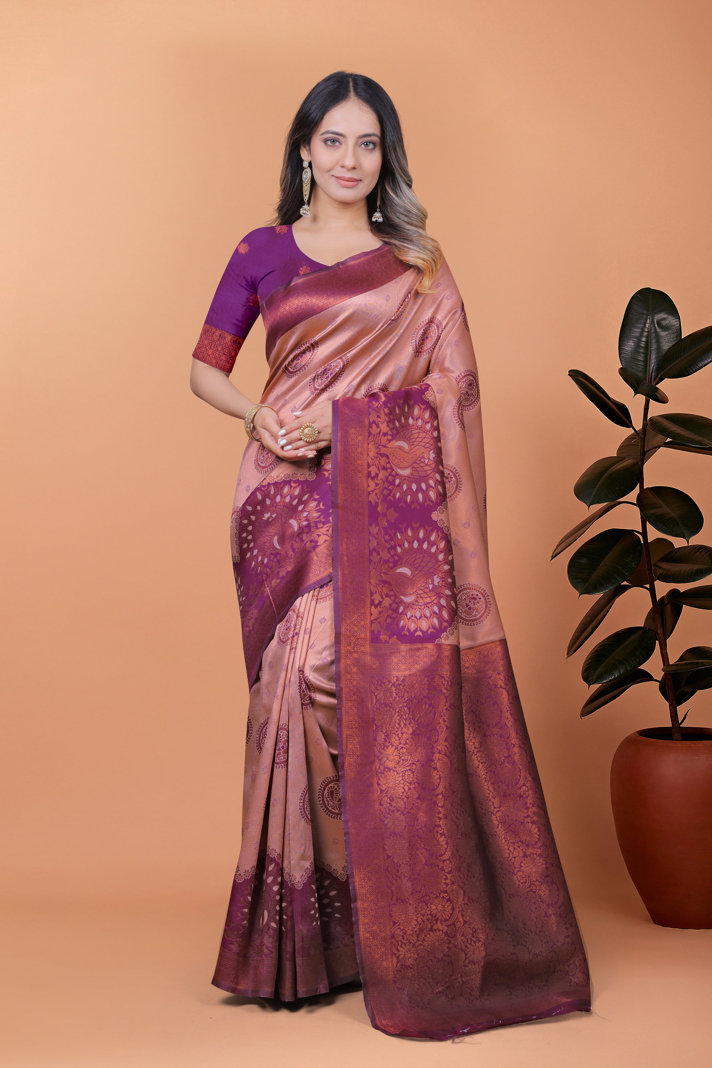 Banarasi Saree with Plum Borders with 8 Color