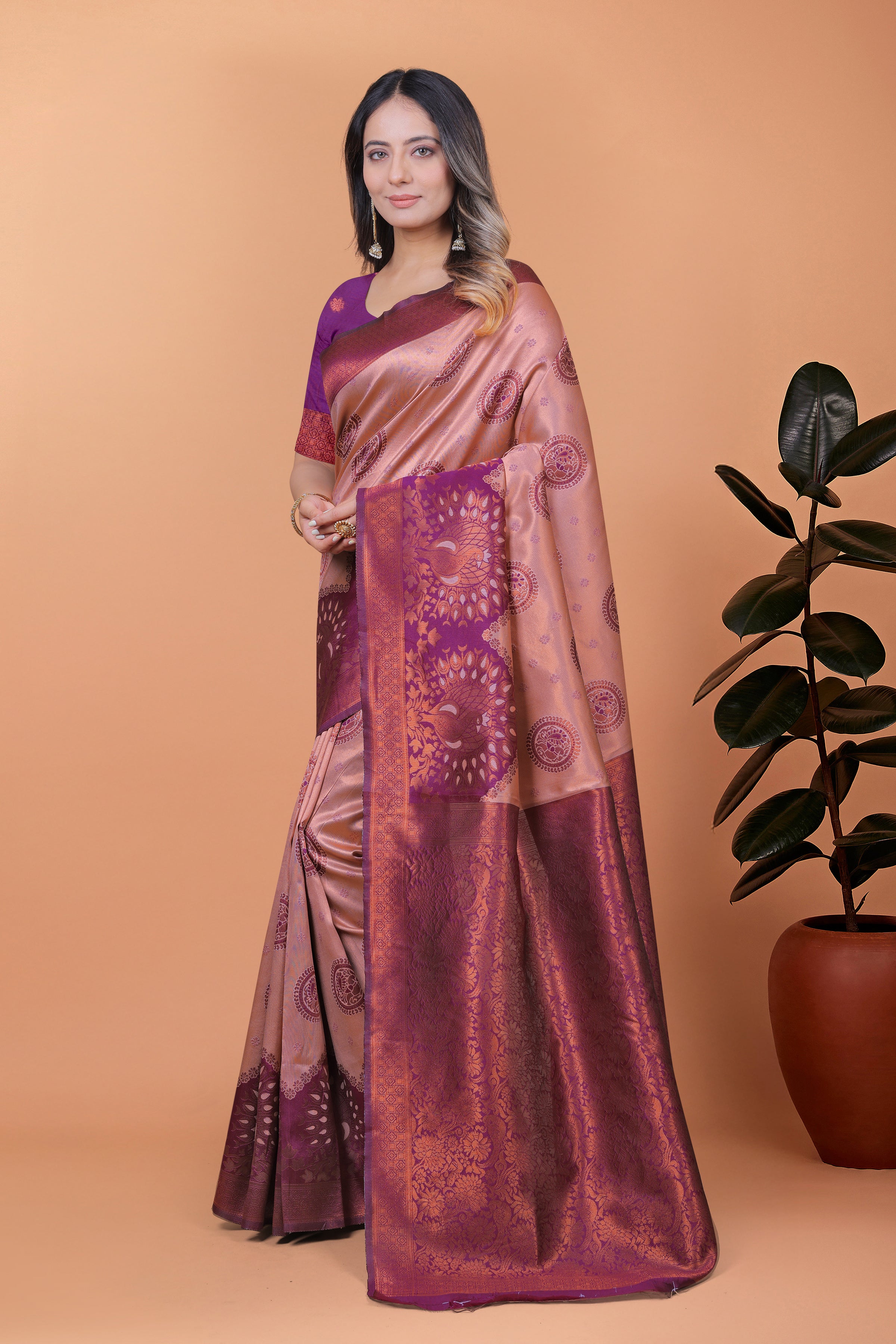 Banarasi Saree with Plum Borders with 8 Color