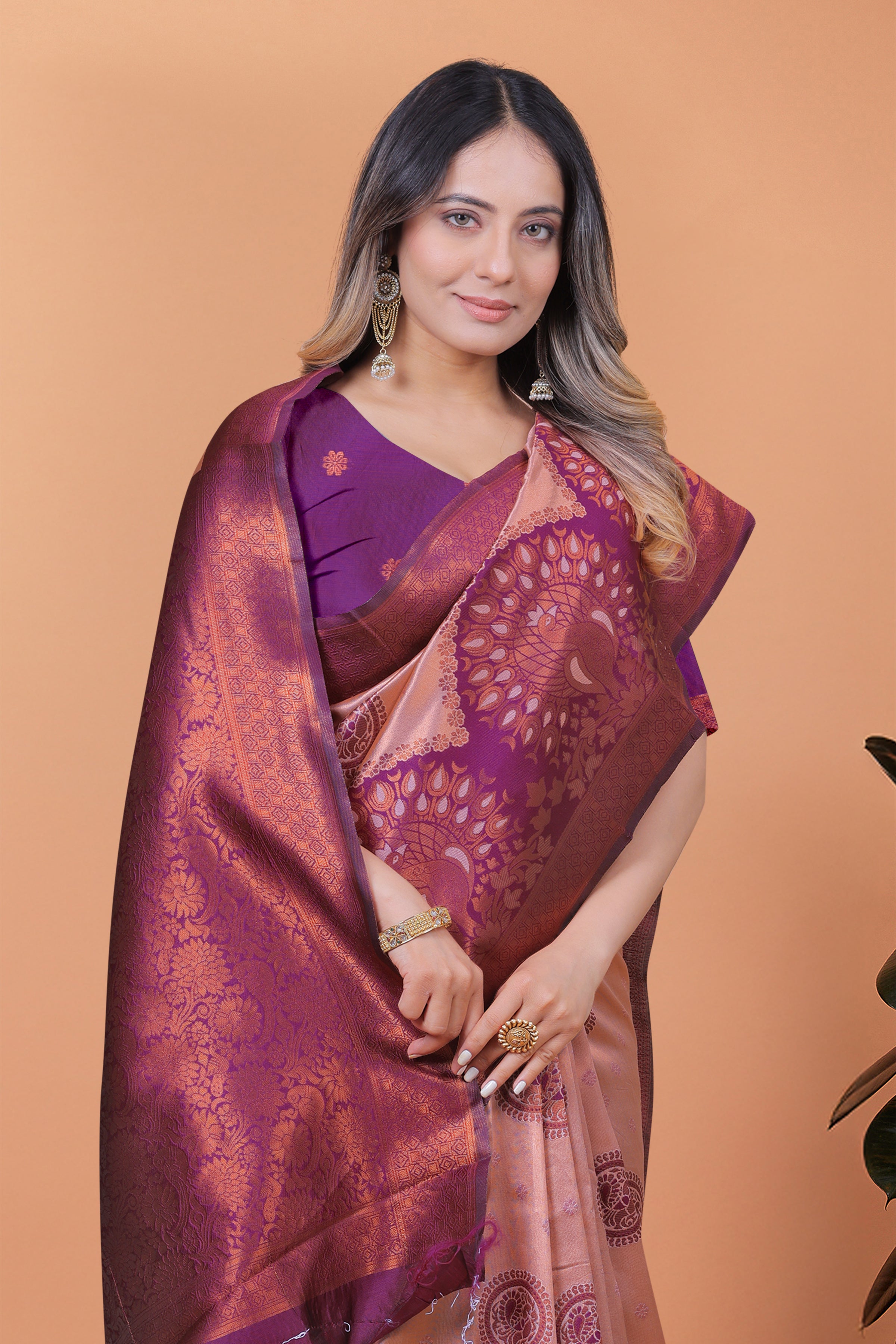 Banarasi Saree with Plum Borders with 8 Color