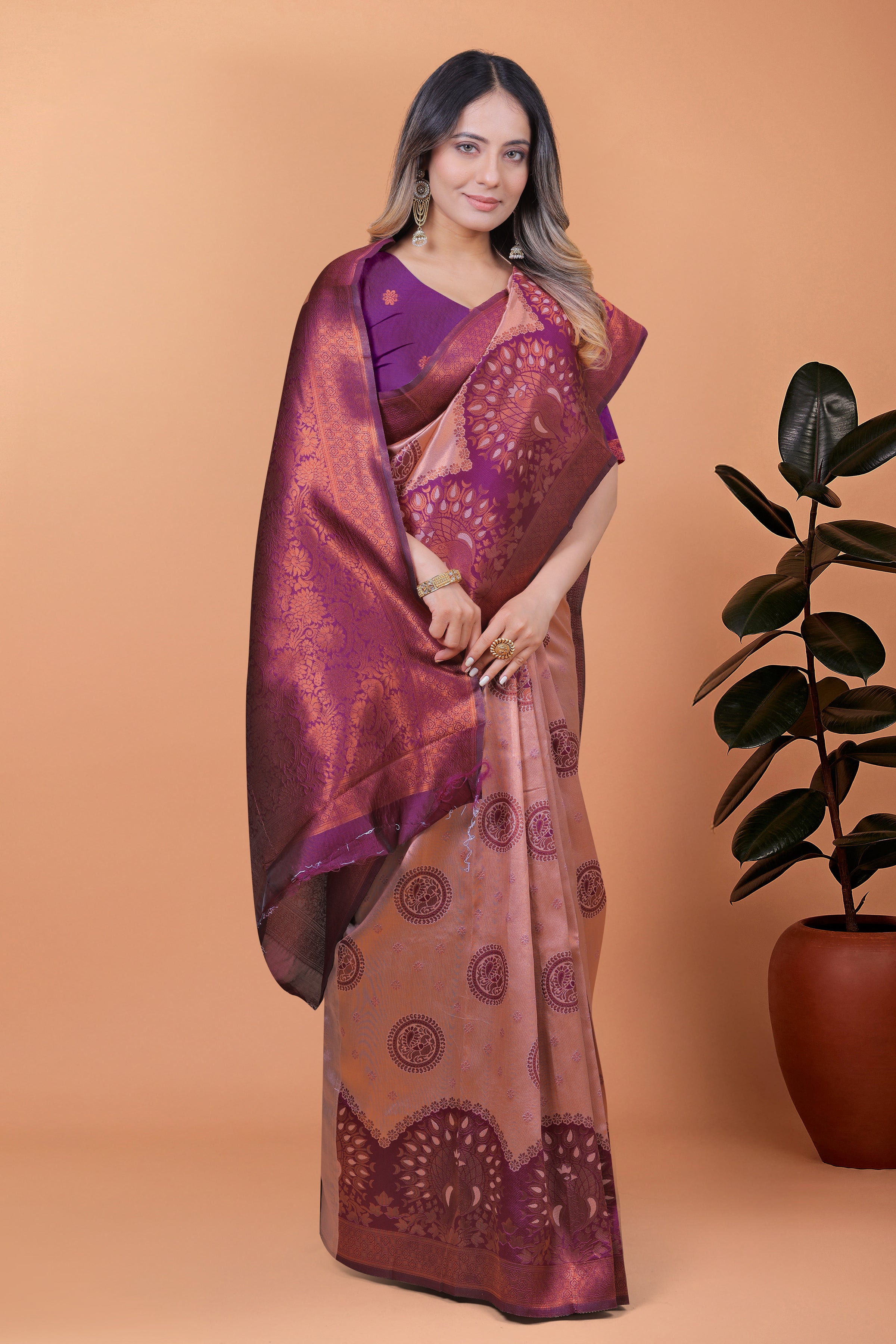 Banarasi Saree with Plum Borders with 8 Color