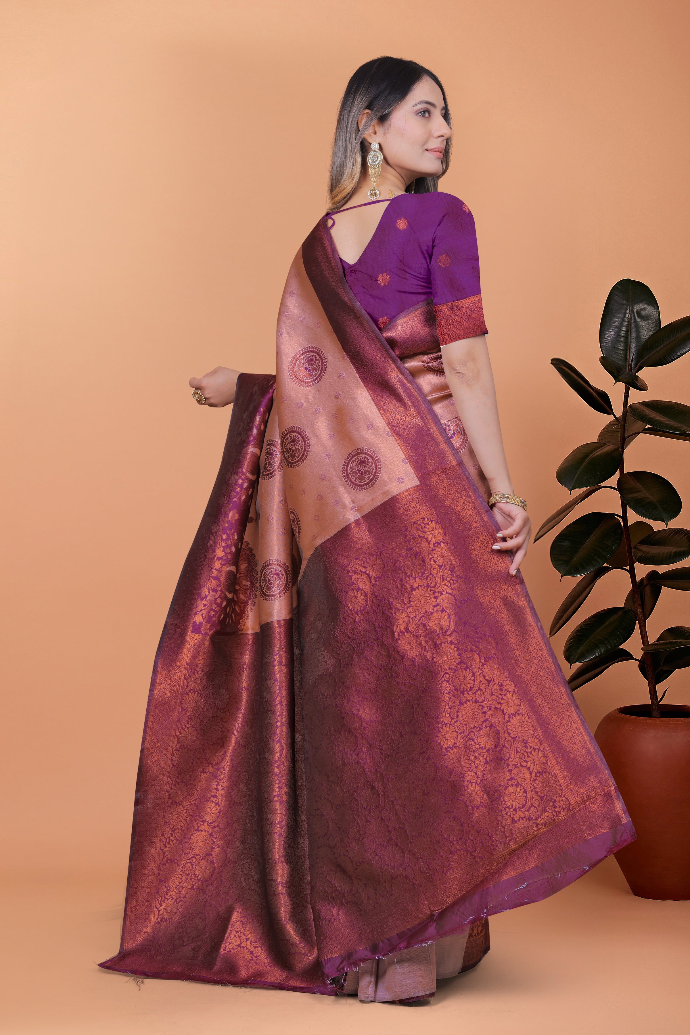 Banarasi Saree with Plum Borders with 8 Color