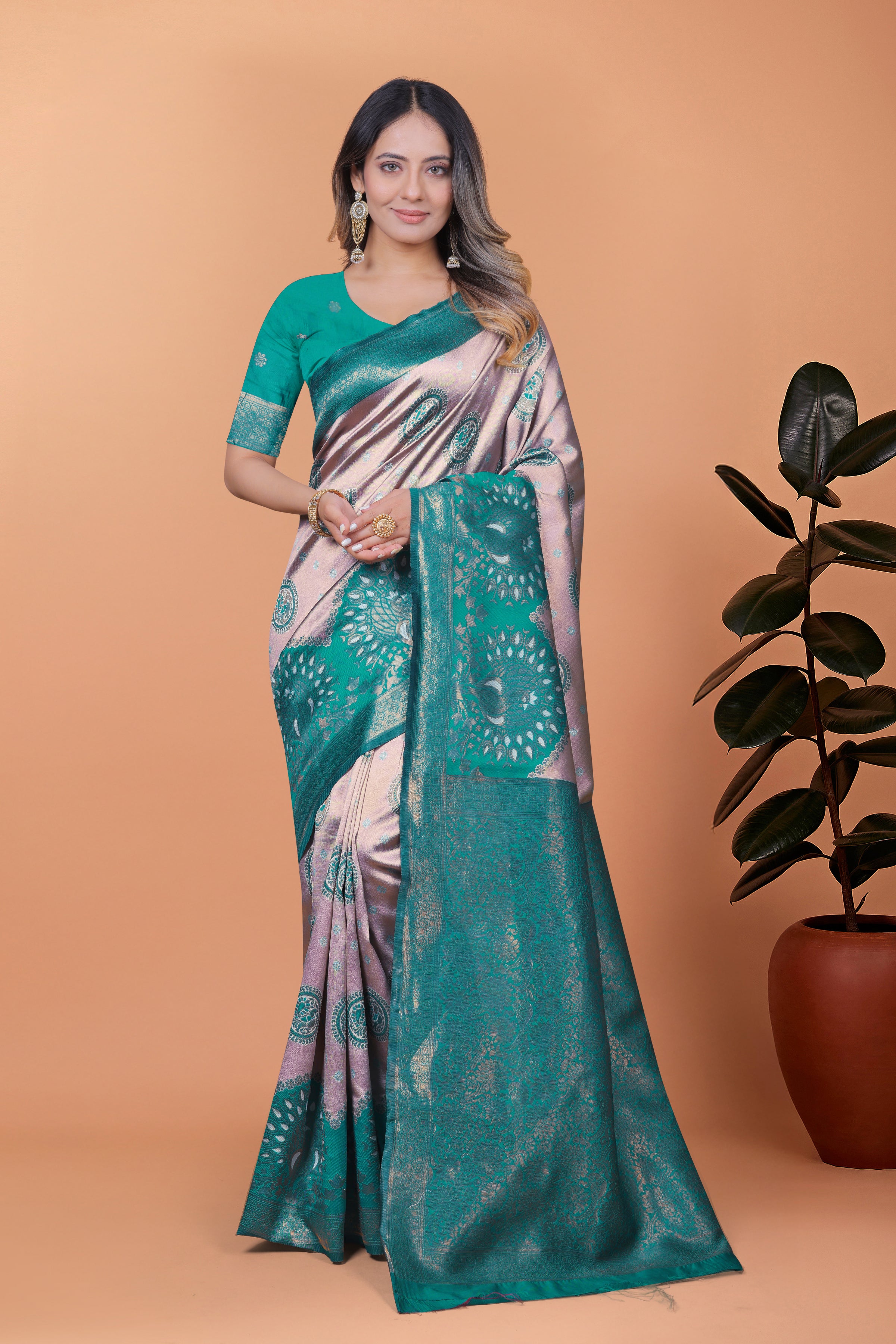 Banarasi Saree with Plum Borders with 8 Color