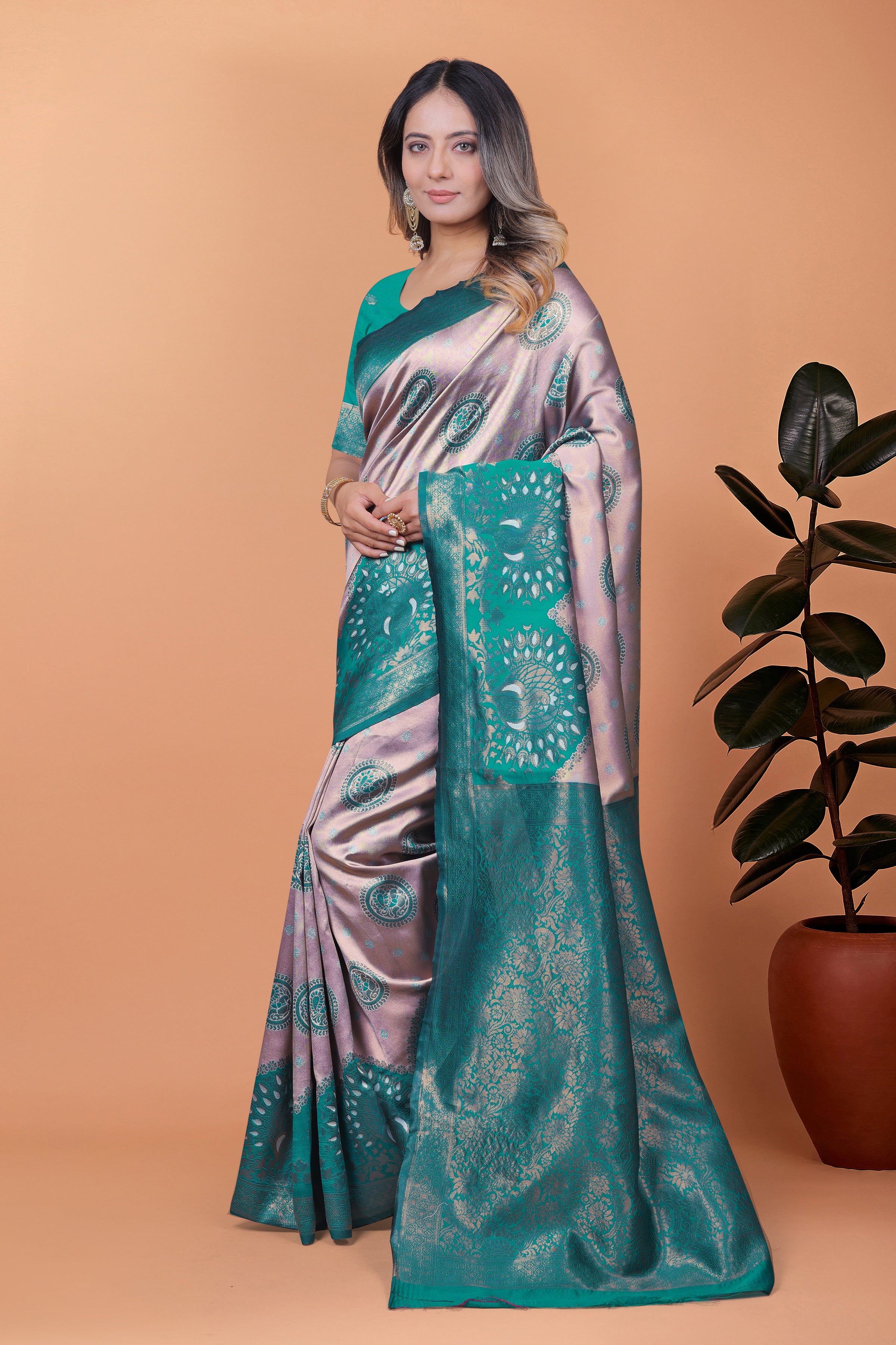 Banarasi Saree with Plum Borders with 8 Color