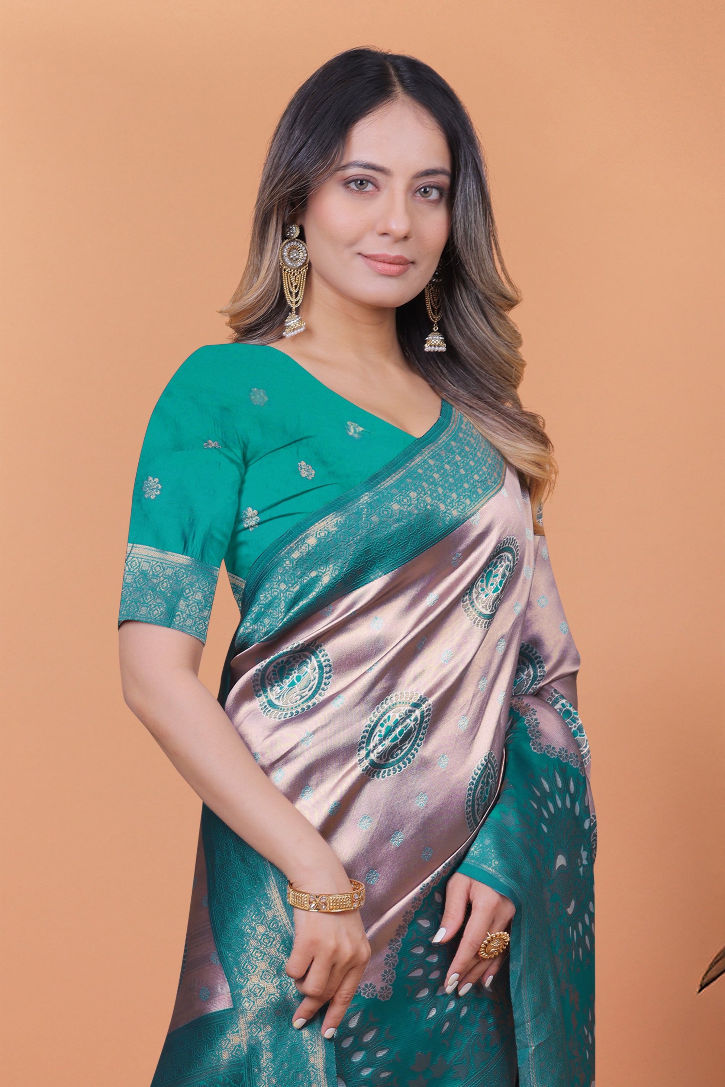 Banarasi Saree with Plum Borders with 8 Color