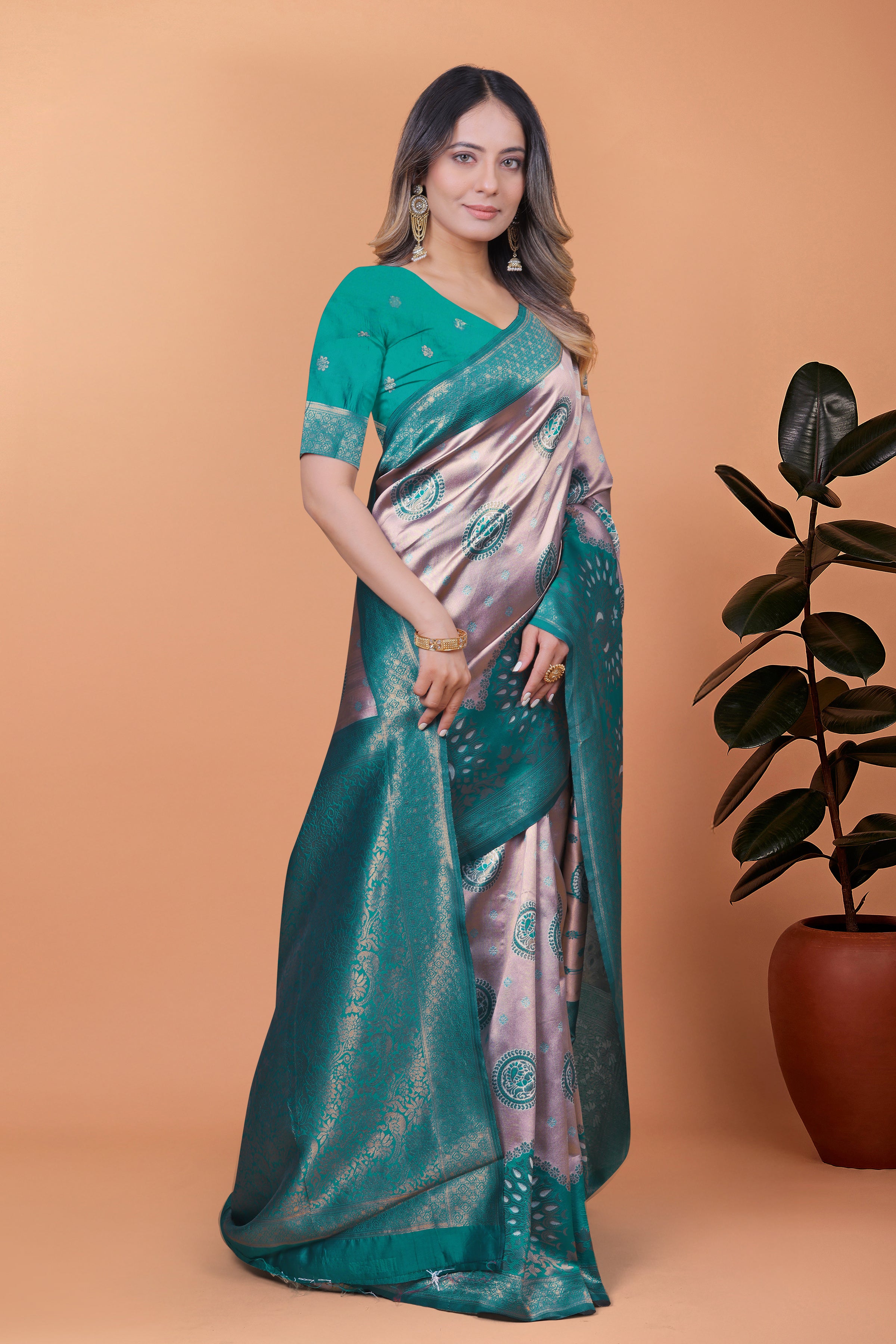 Banarasi Saree with Plum Borders with 8 Color