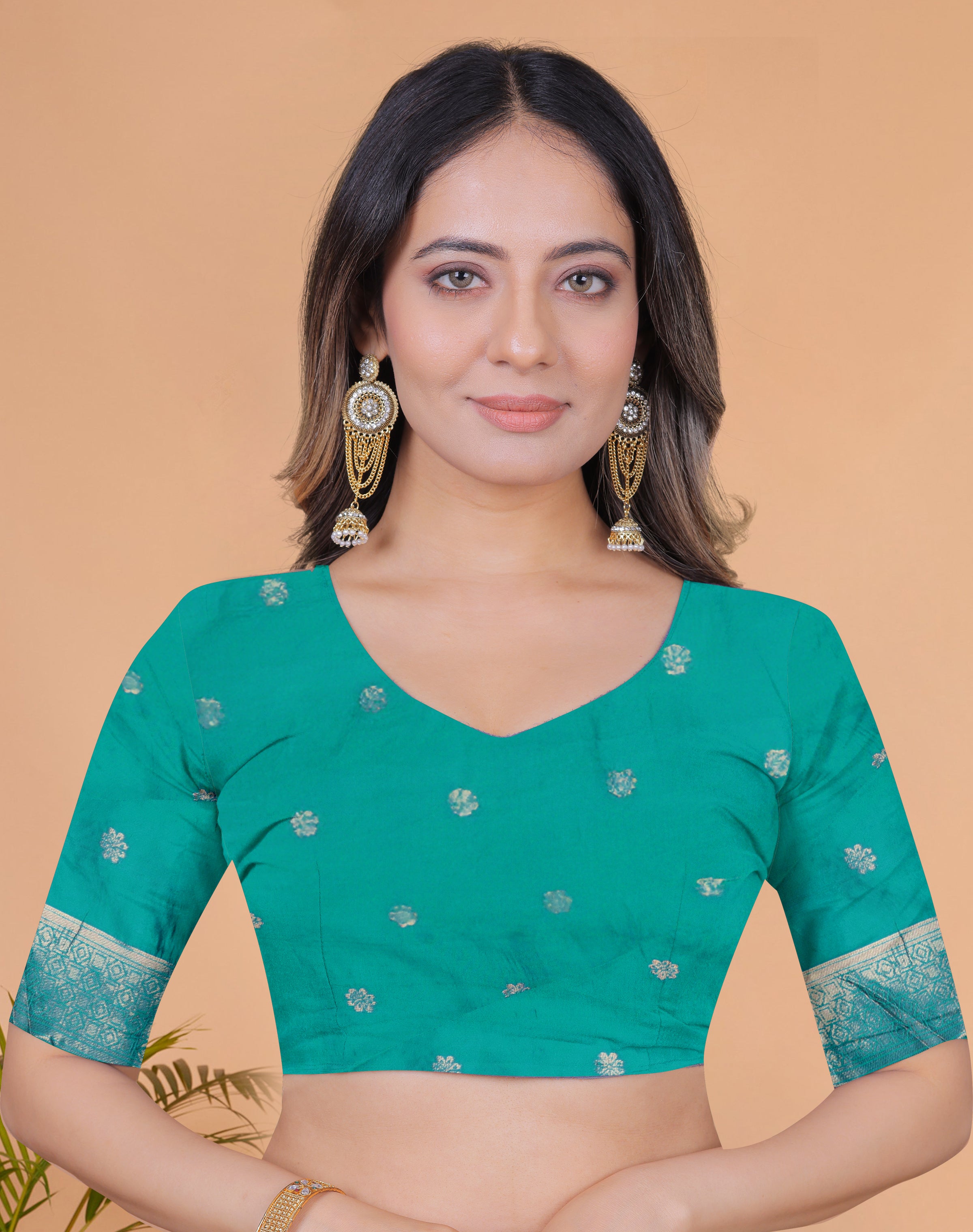 Banarasi Saree with Plum Borders with 8 Color