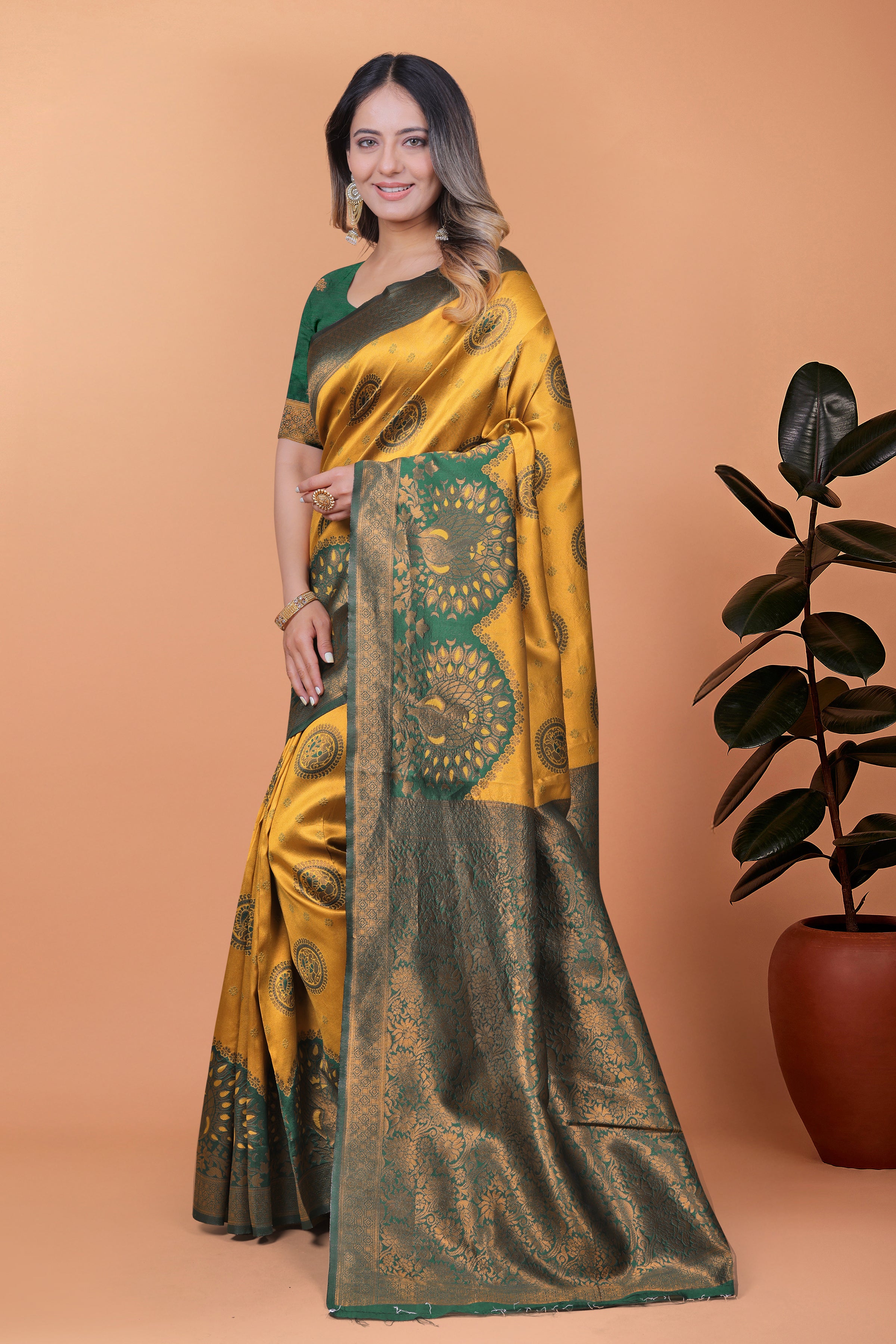 Banarasi Saree with Plum Borders with 8 Color