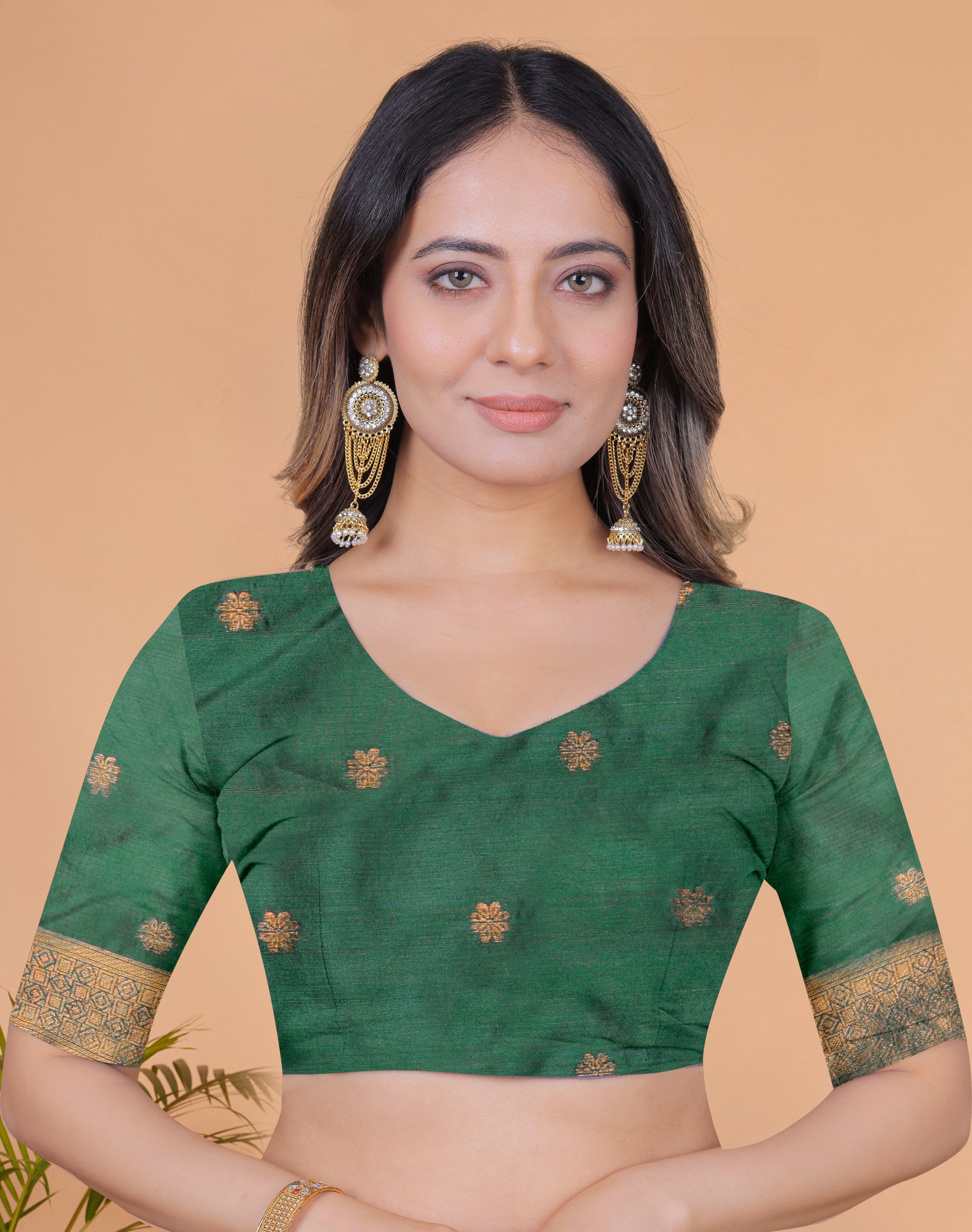 Banarasi Saree with Plum Borders with 8 Color