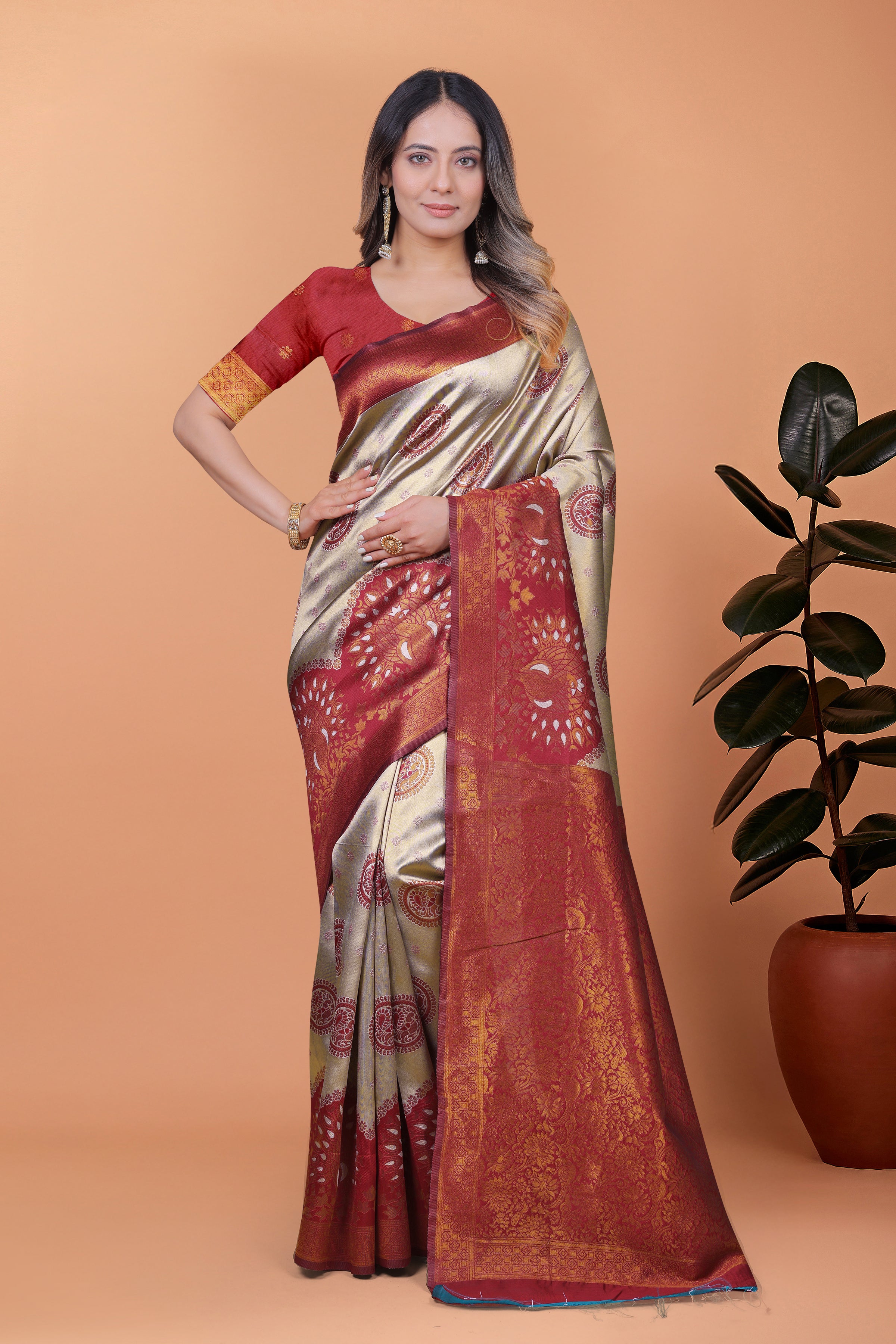 Banarasi Saree with Plum Borders with 8 Color