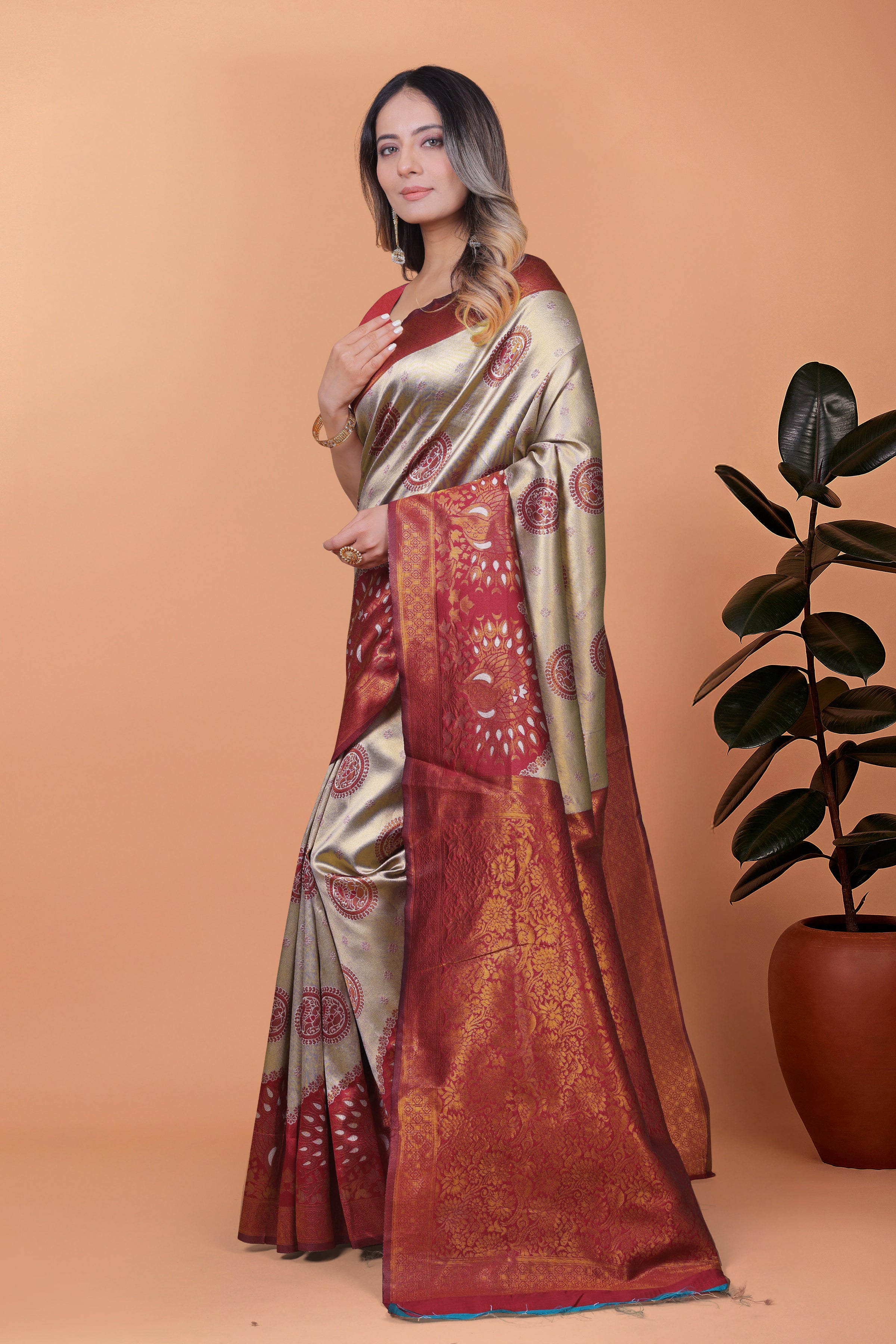 Banarasi Saree with Plum Borders with 8 Color