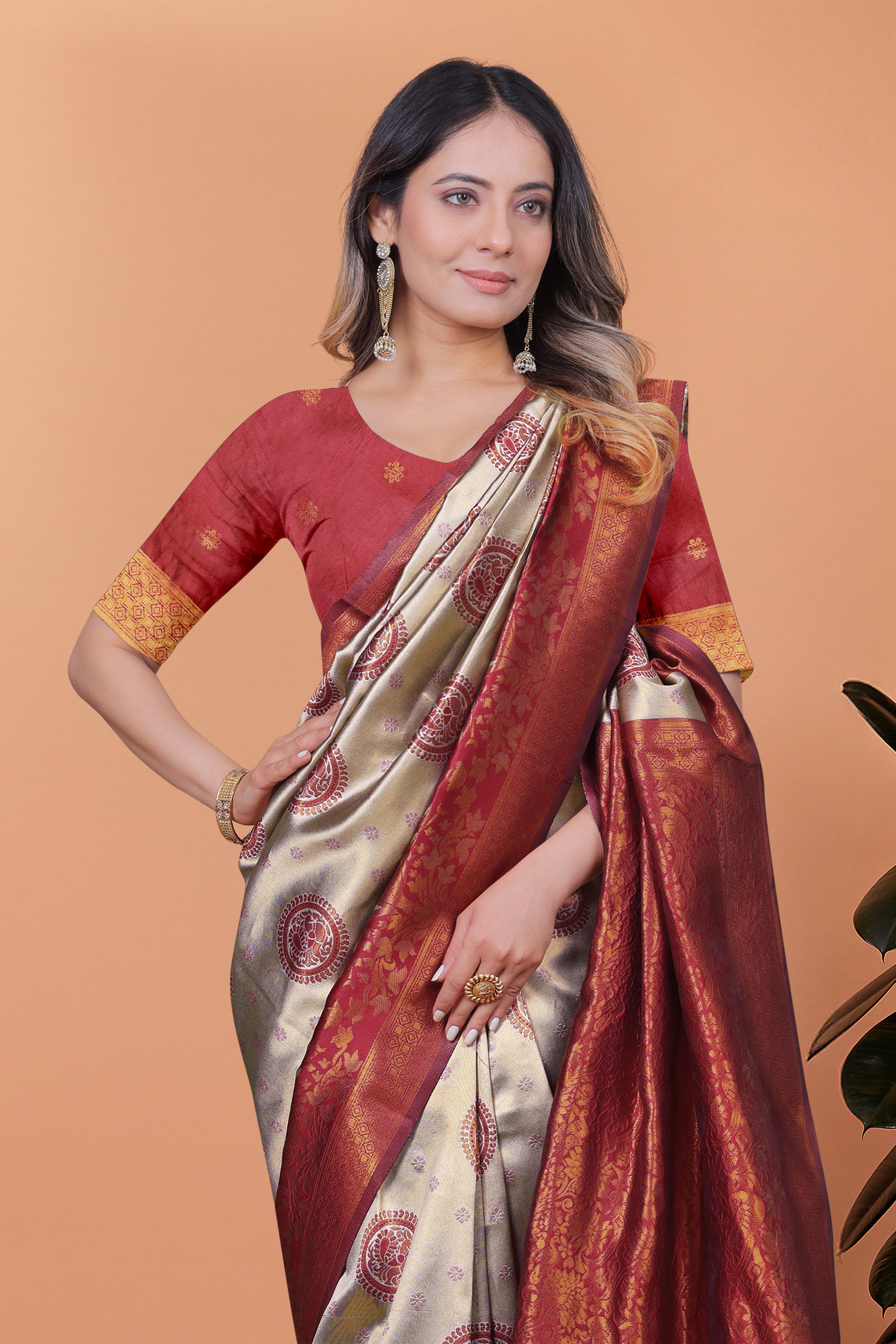 Banarasi Saree with Plum Borders with 8 Color