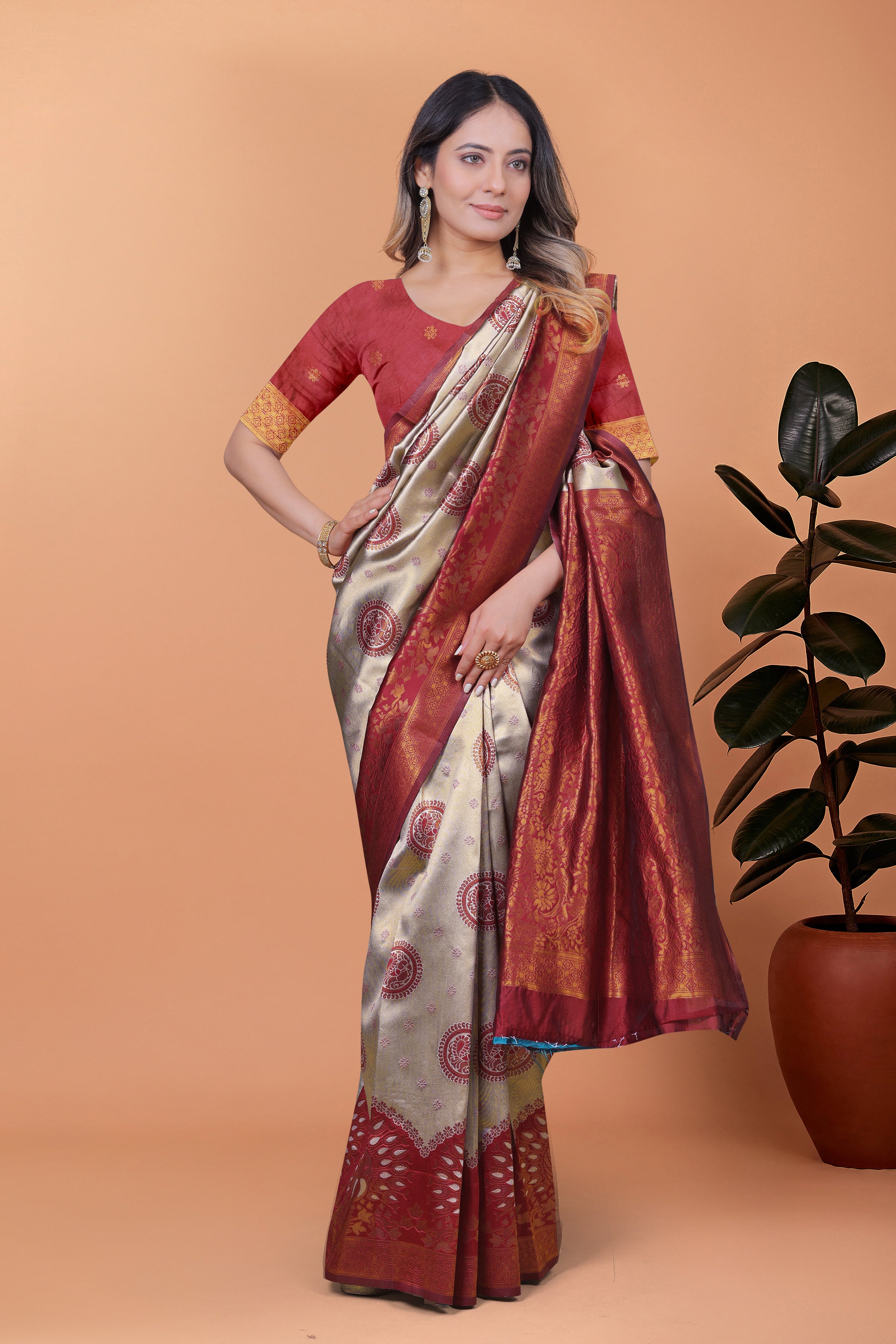 Banarasi Saree with Plum Borders with 8 Color