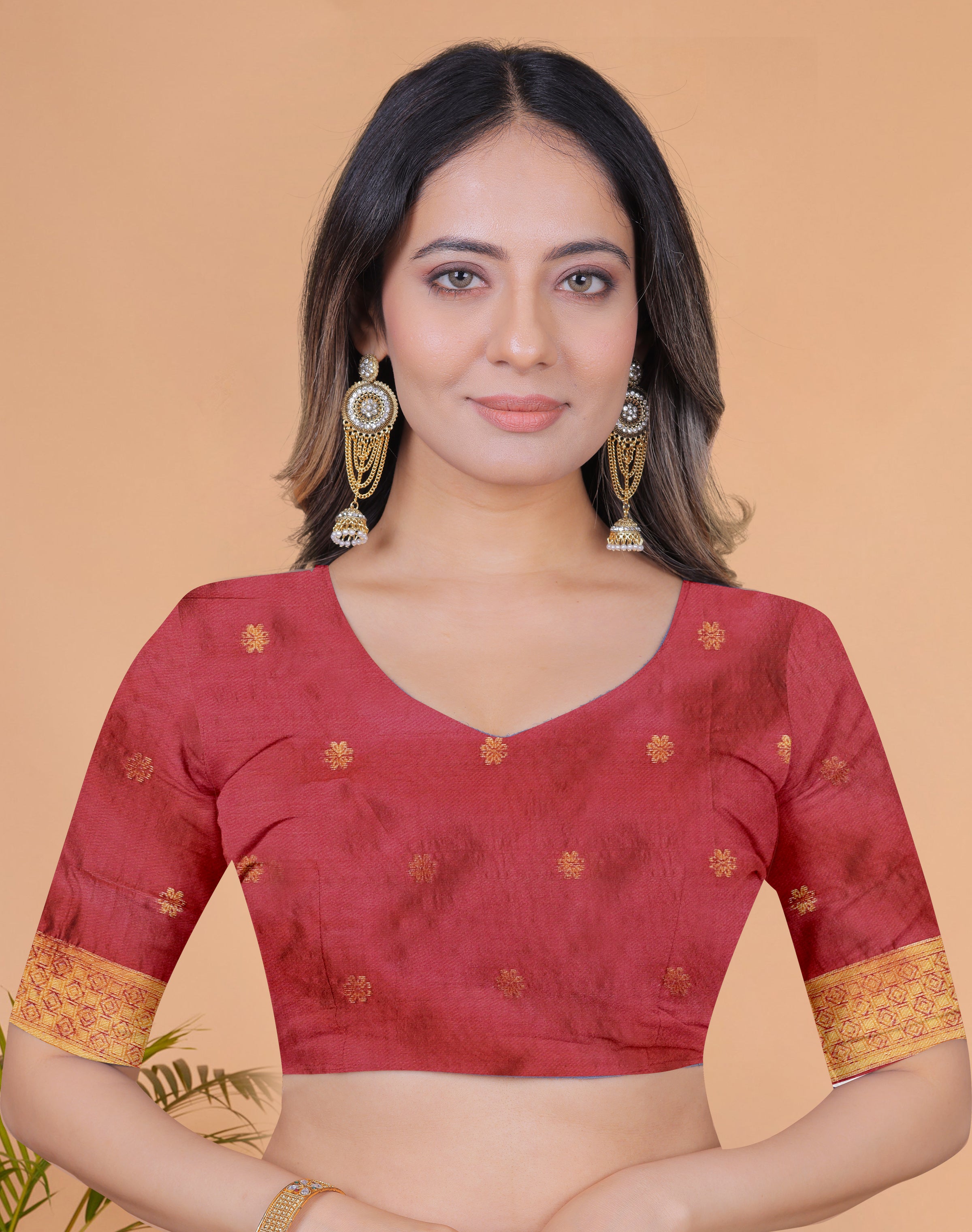 Banarasi Saree with Plum Borders with 8 Color