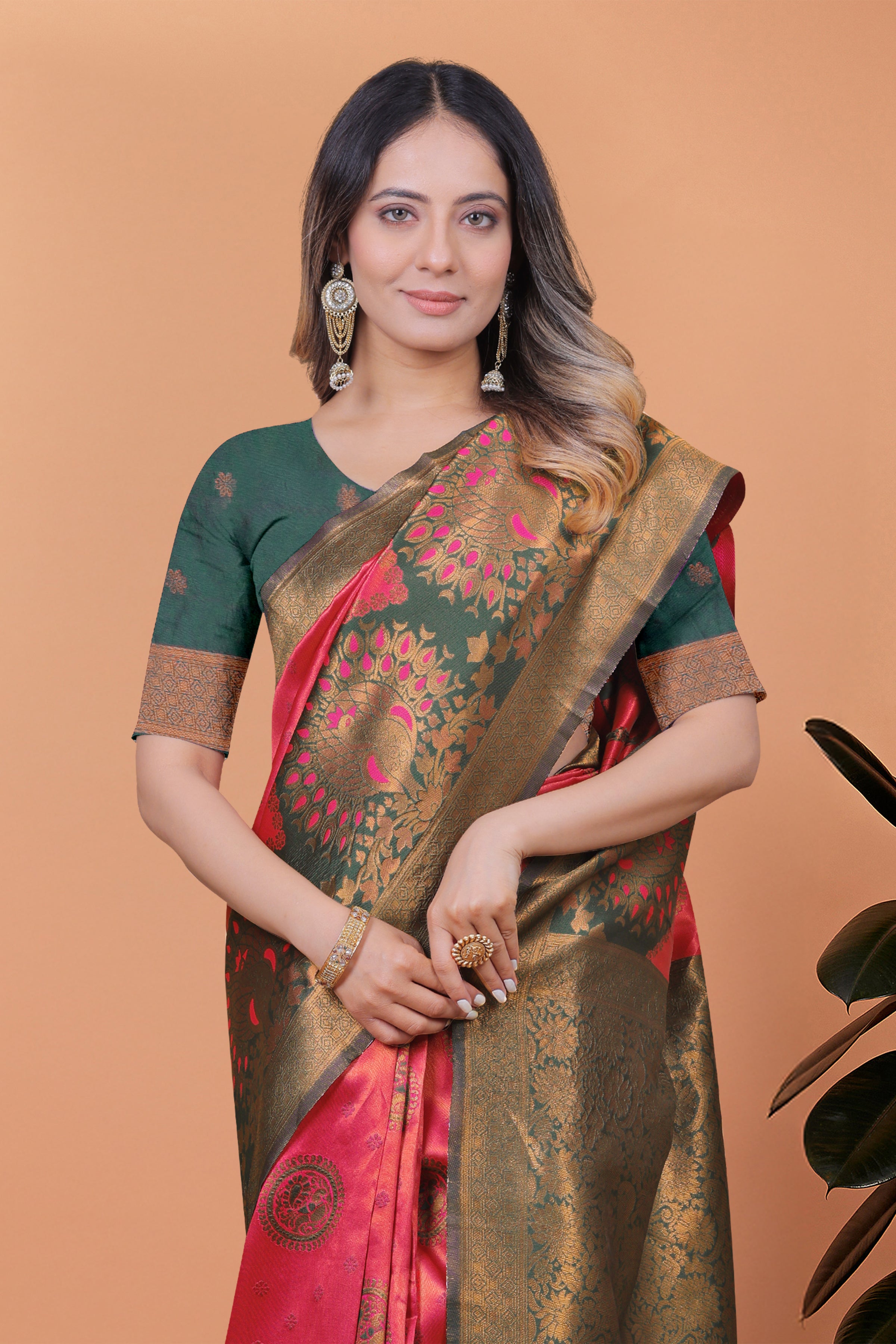 Banarasi Saree with Plum Borders with 8 Color