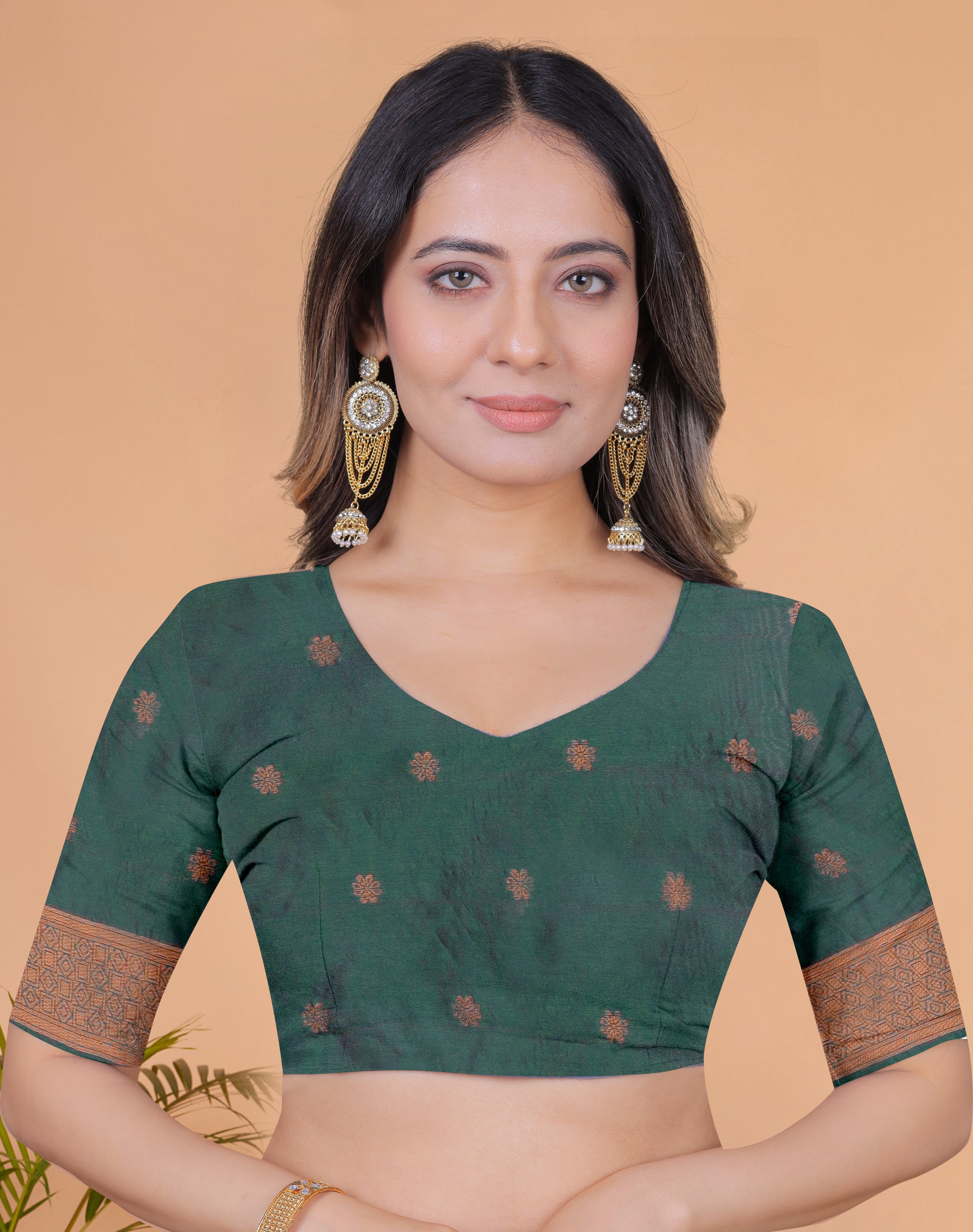 Banarasi Saree with Plum Borders with 8 Color