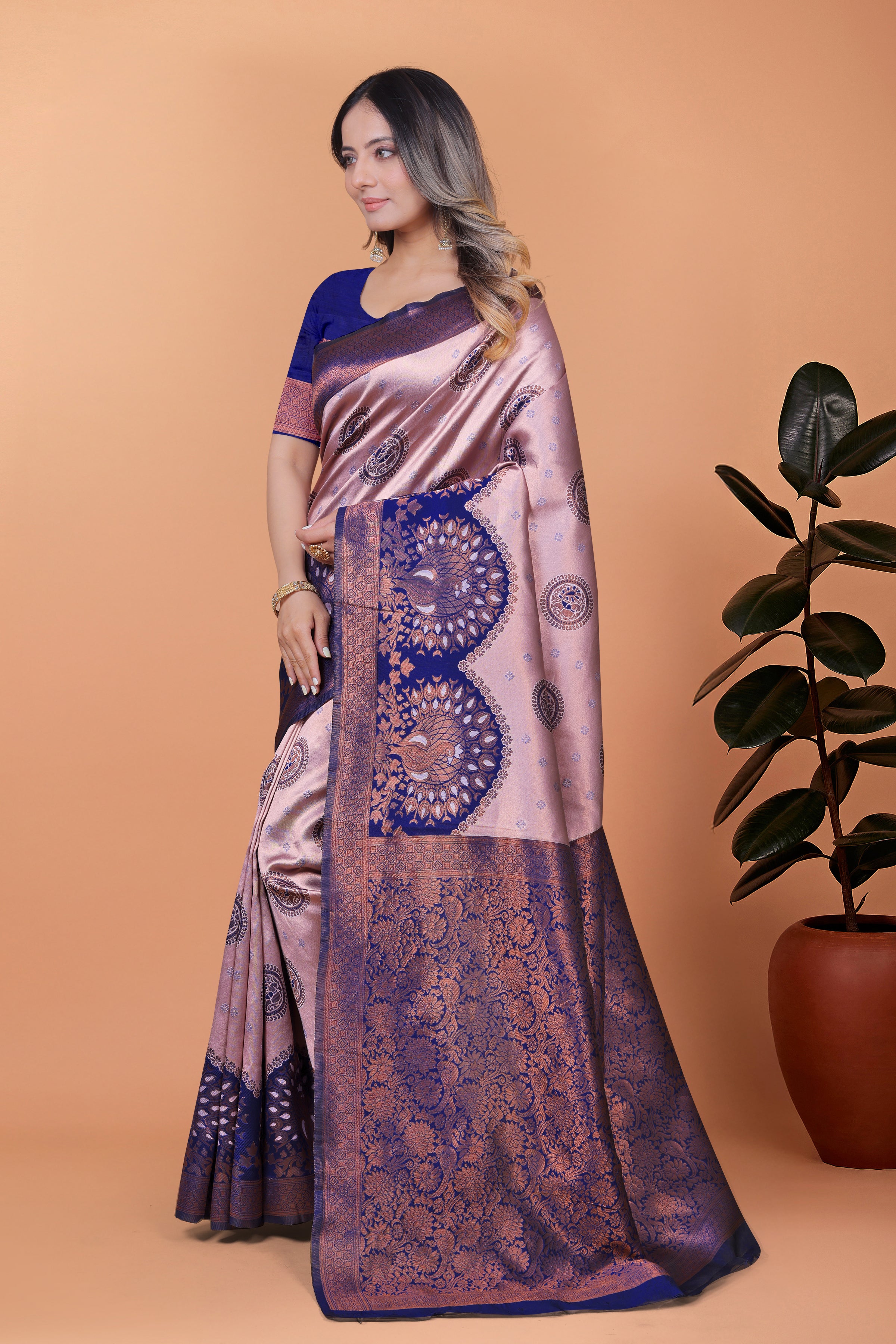 Banarasi Saree with Plum Borders with 8 Color
