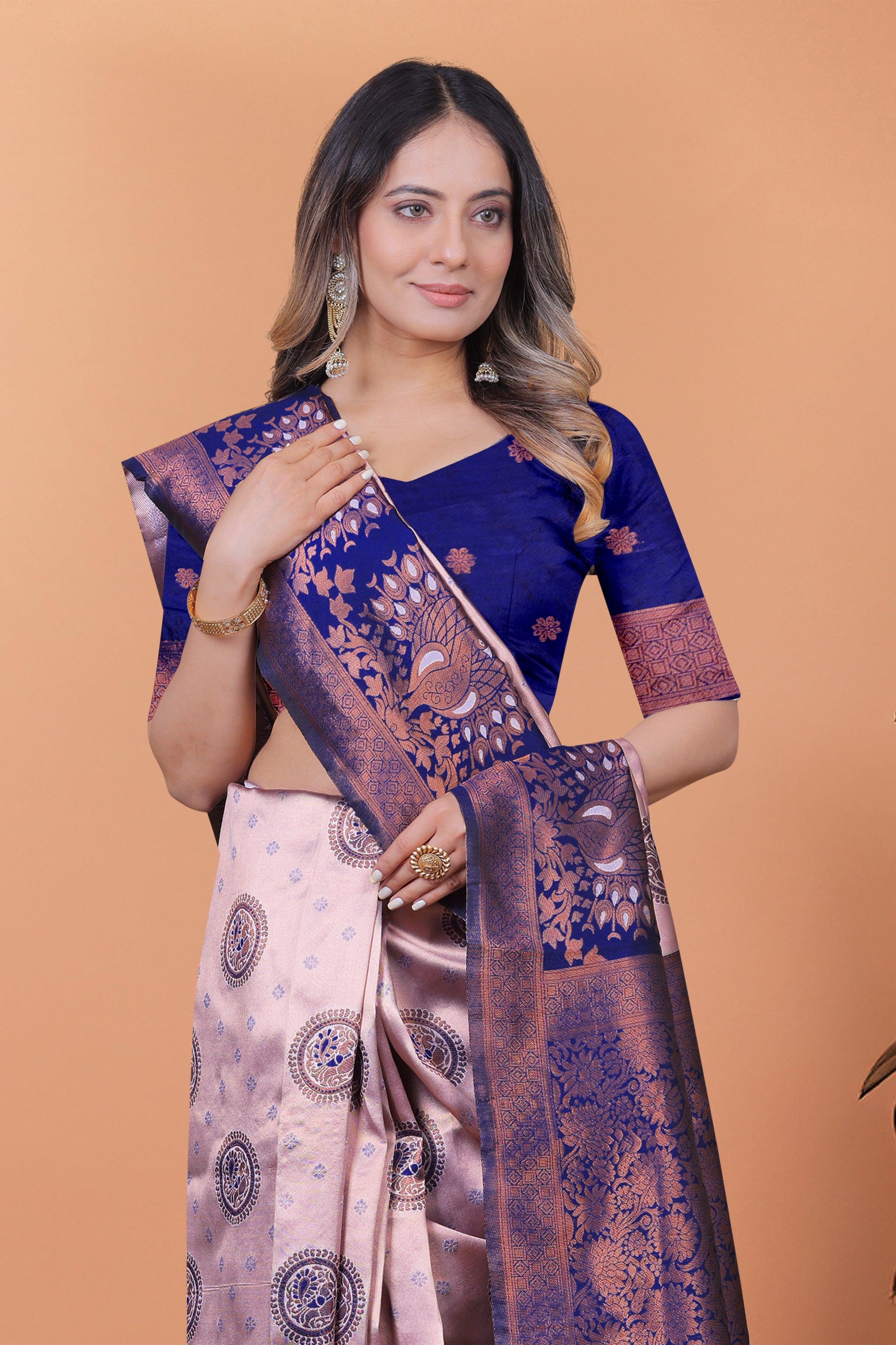 Banarasi Saree with Plum Borders with 8 Color