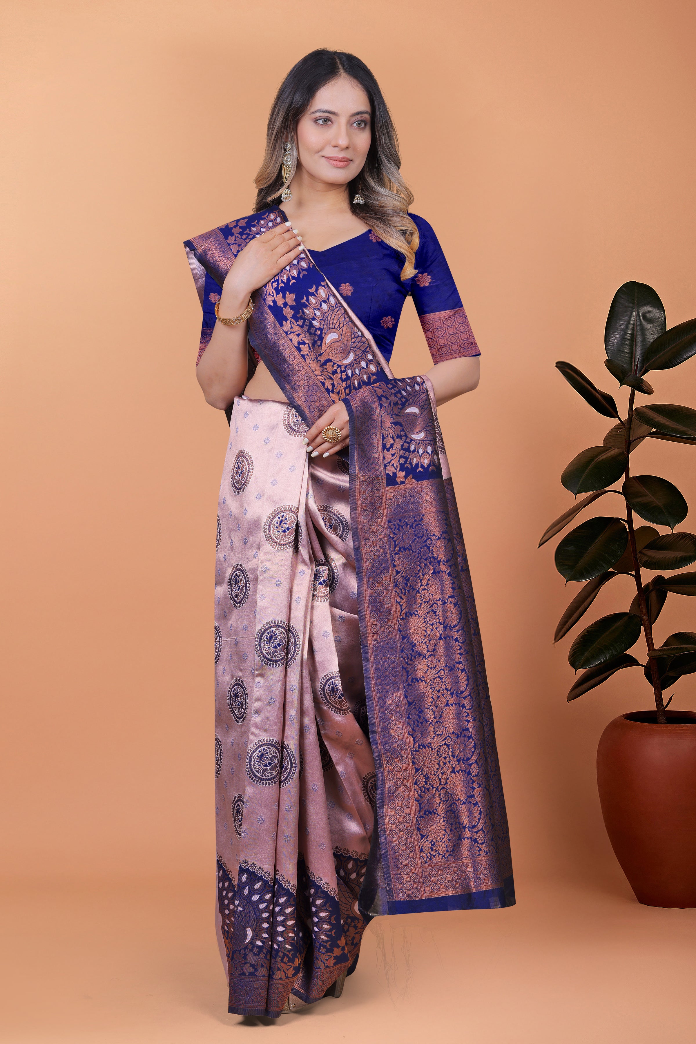 Banarasi Saree with Plum Borders with 8 Color