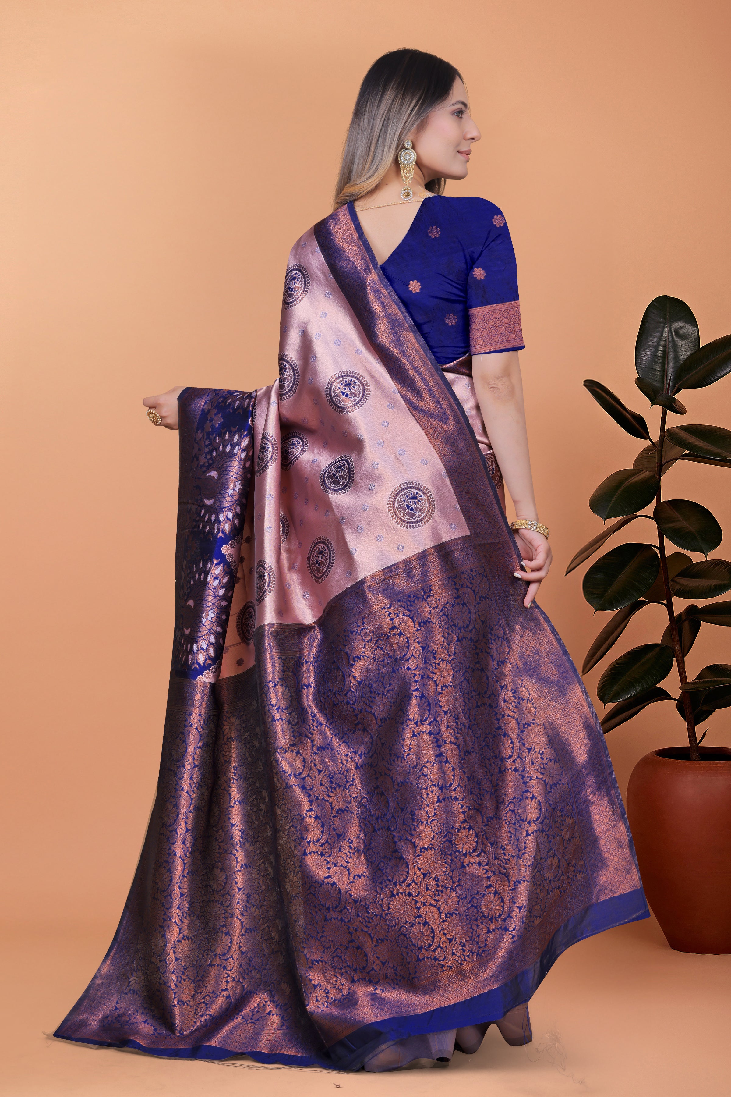 Banarasi Saree with Plum Borders with 8 Color