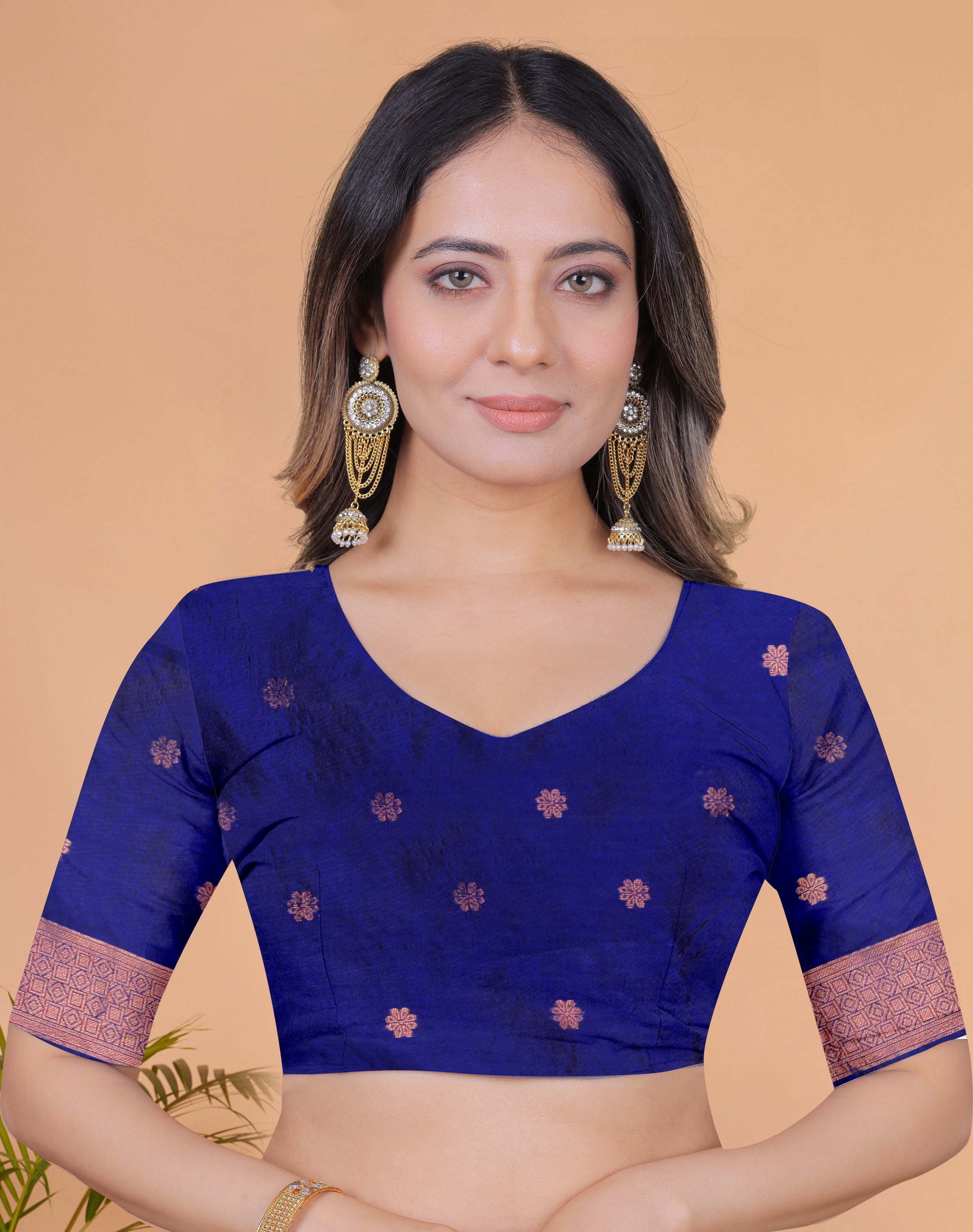 Banarasi Saree with Plum Borders with 8 Color