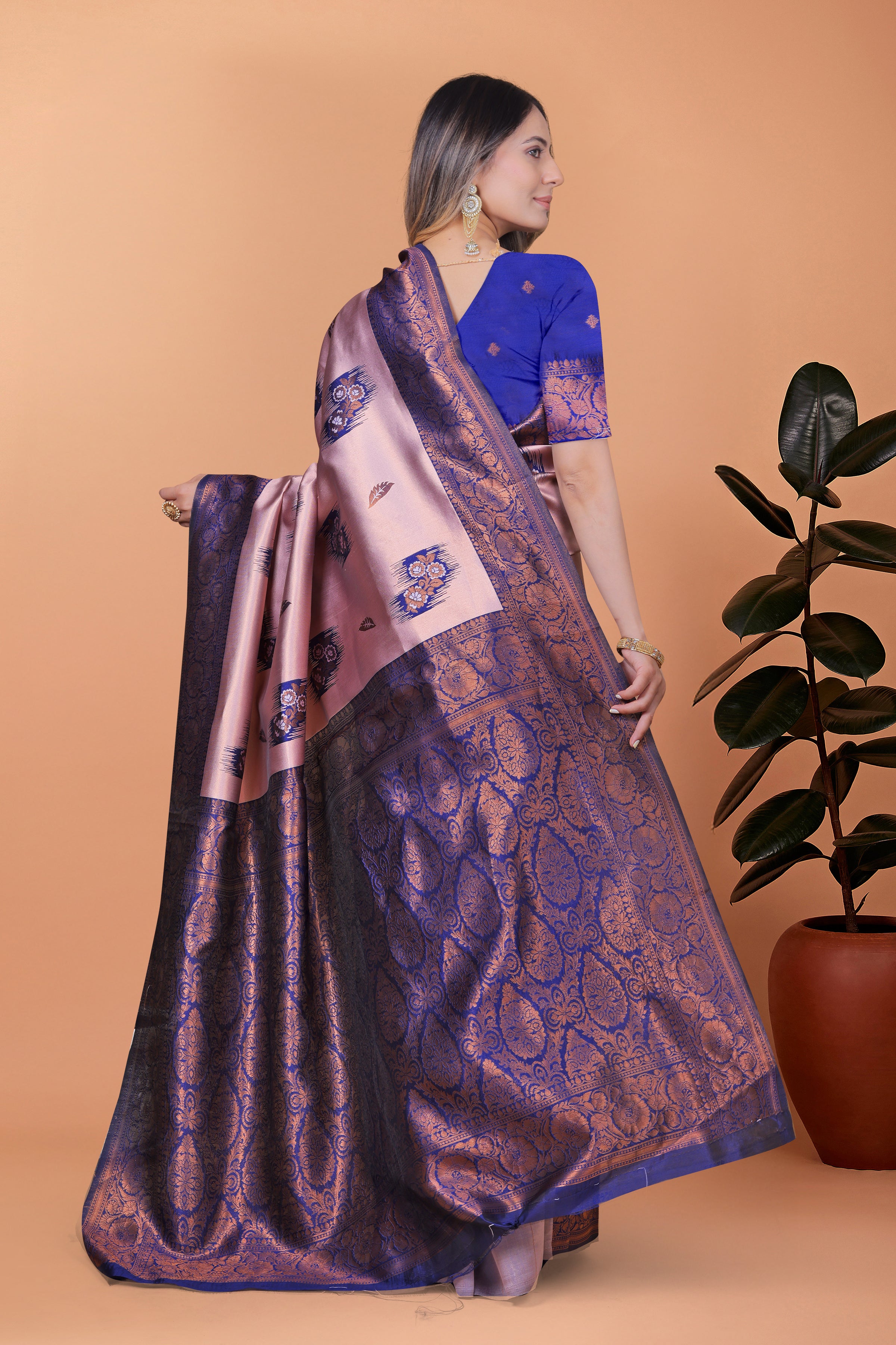 Banarasi Silk Saree with Zari Embellishment with 8 color option ✨💙💚