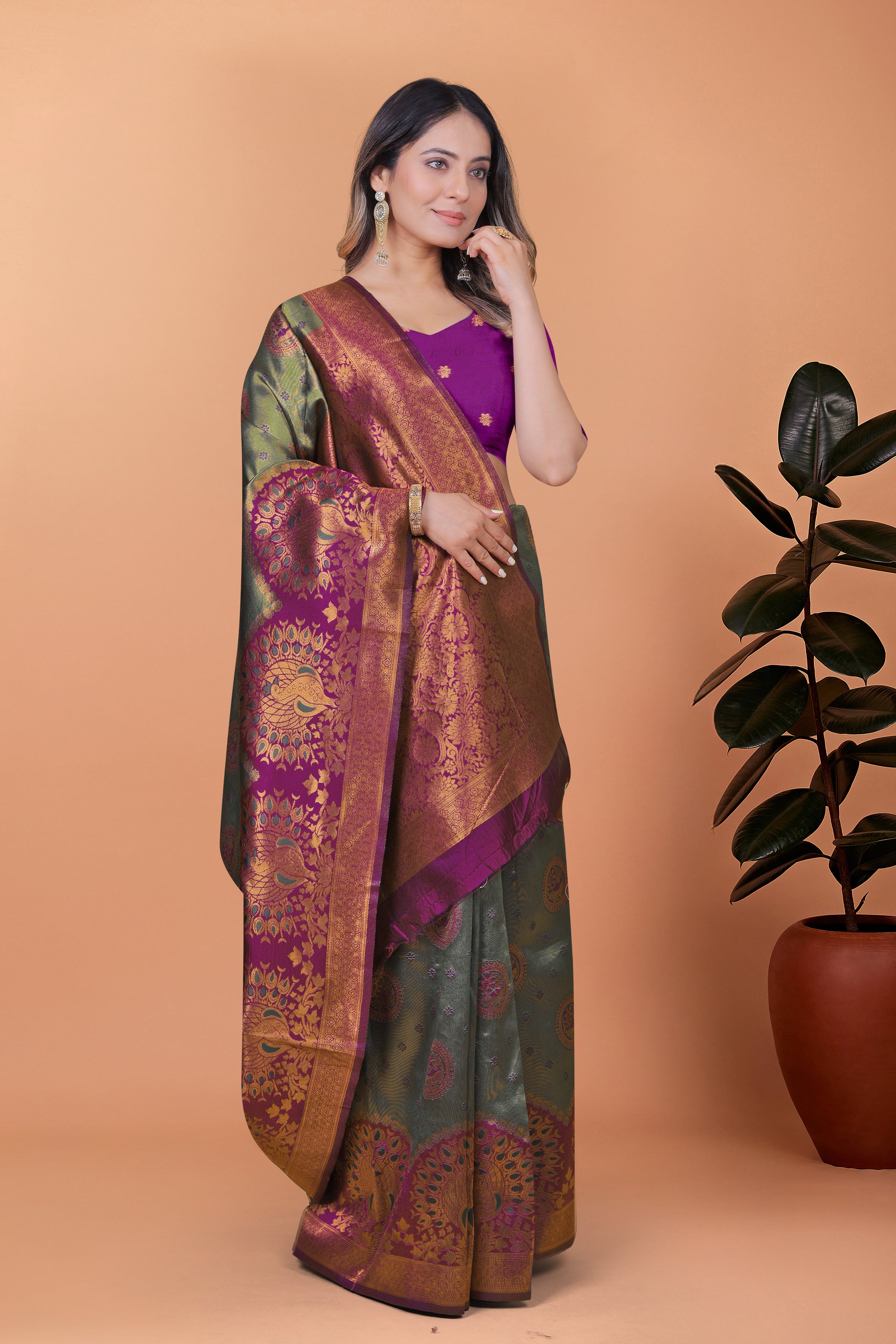 Banarasi Saree with Plum Borders with 8 Color