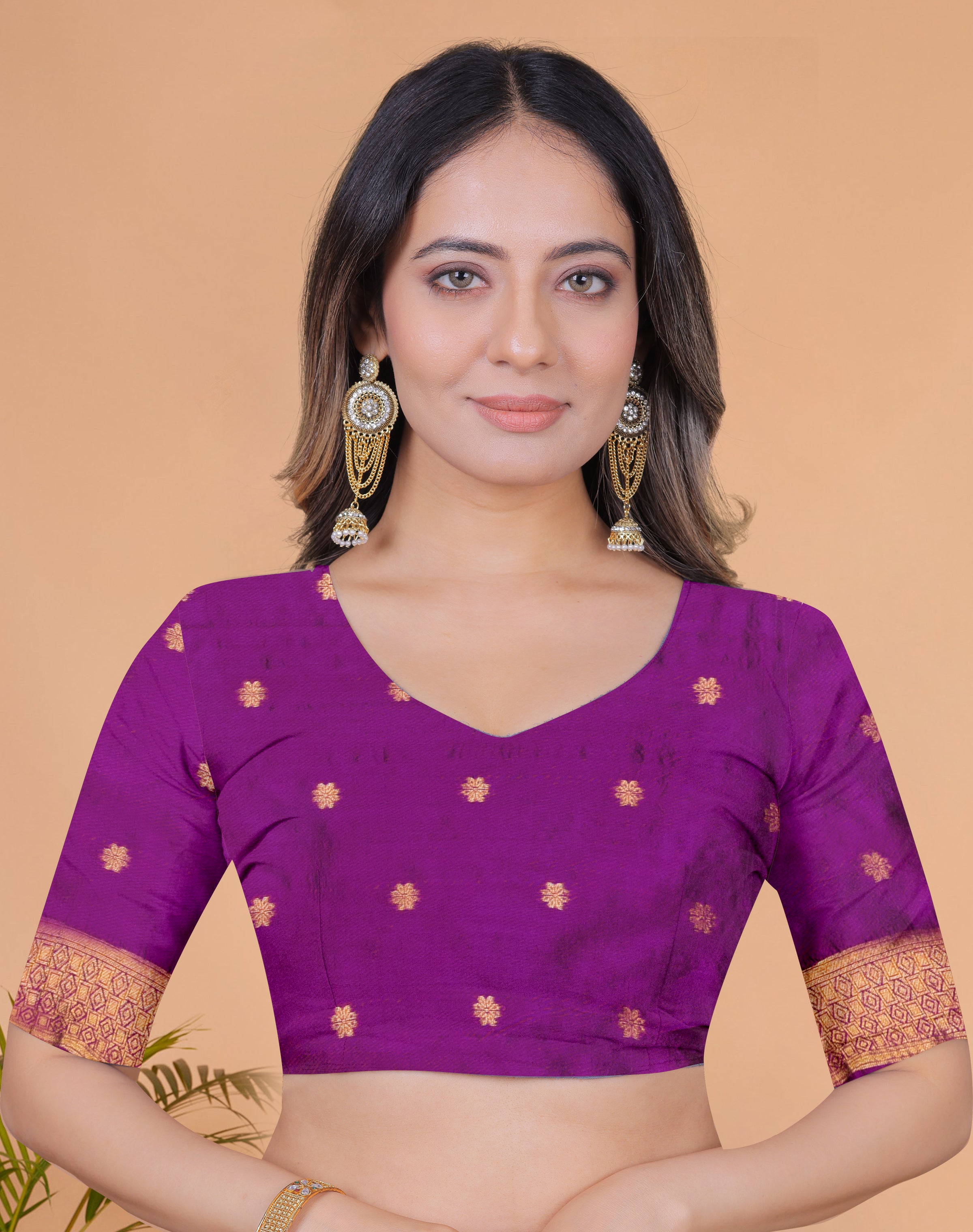 Banarasi Saree with Plum Borders with 8 Color