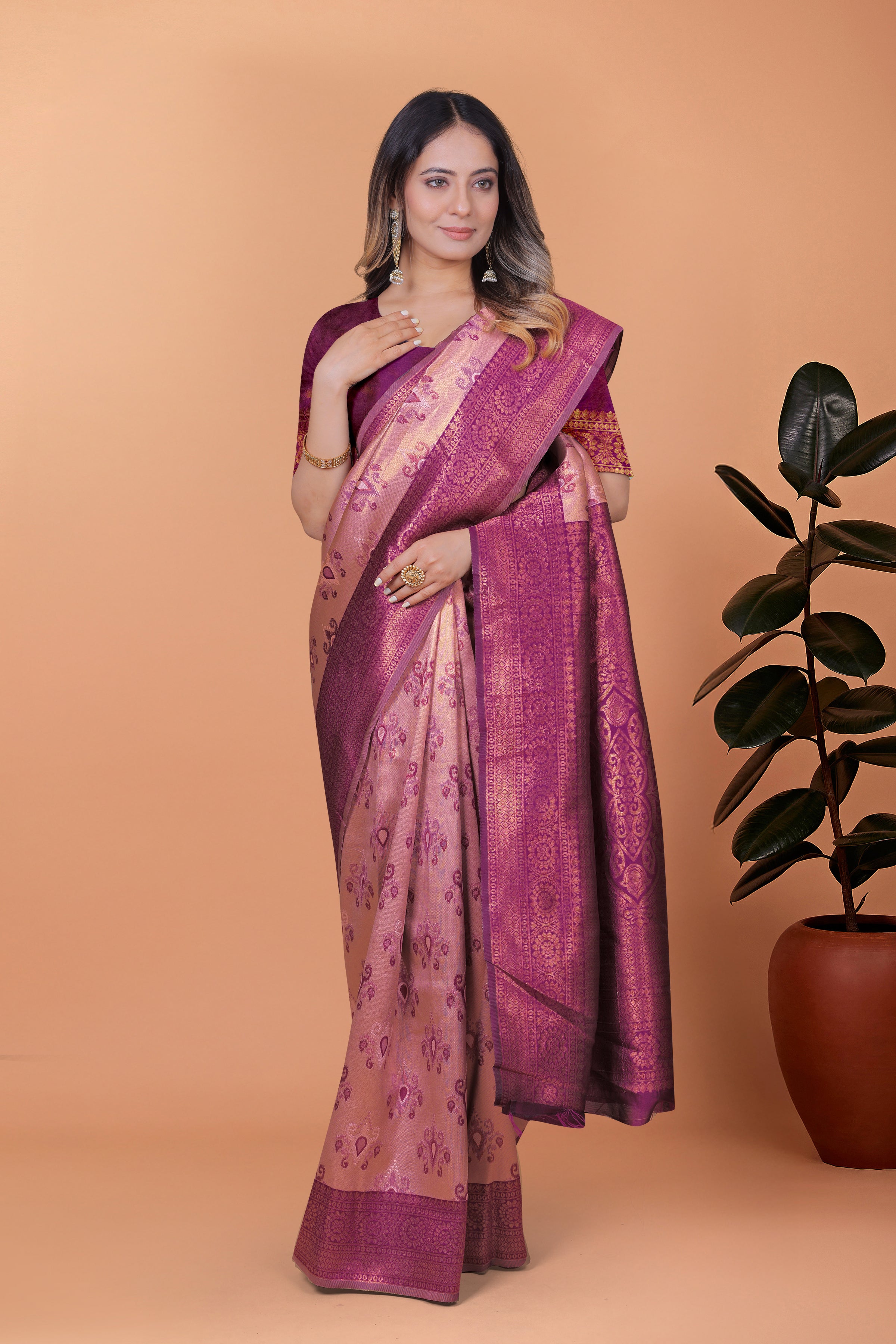 Royal Radiance Banarasi Silk Saree with 8 color option