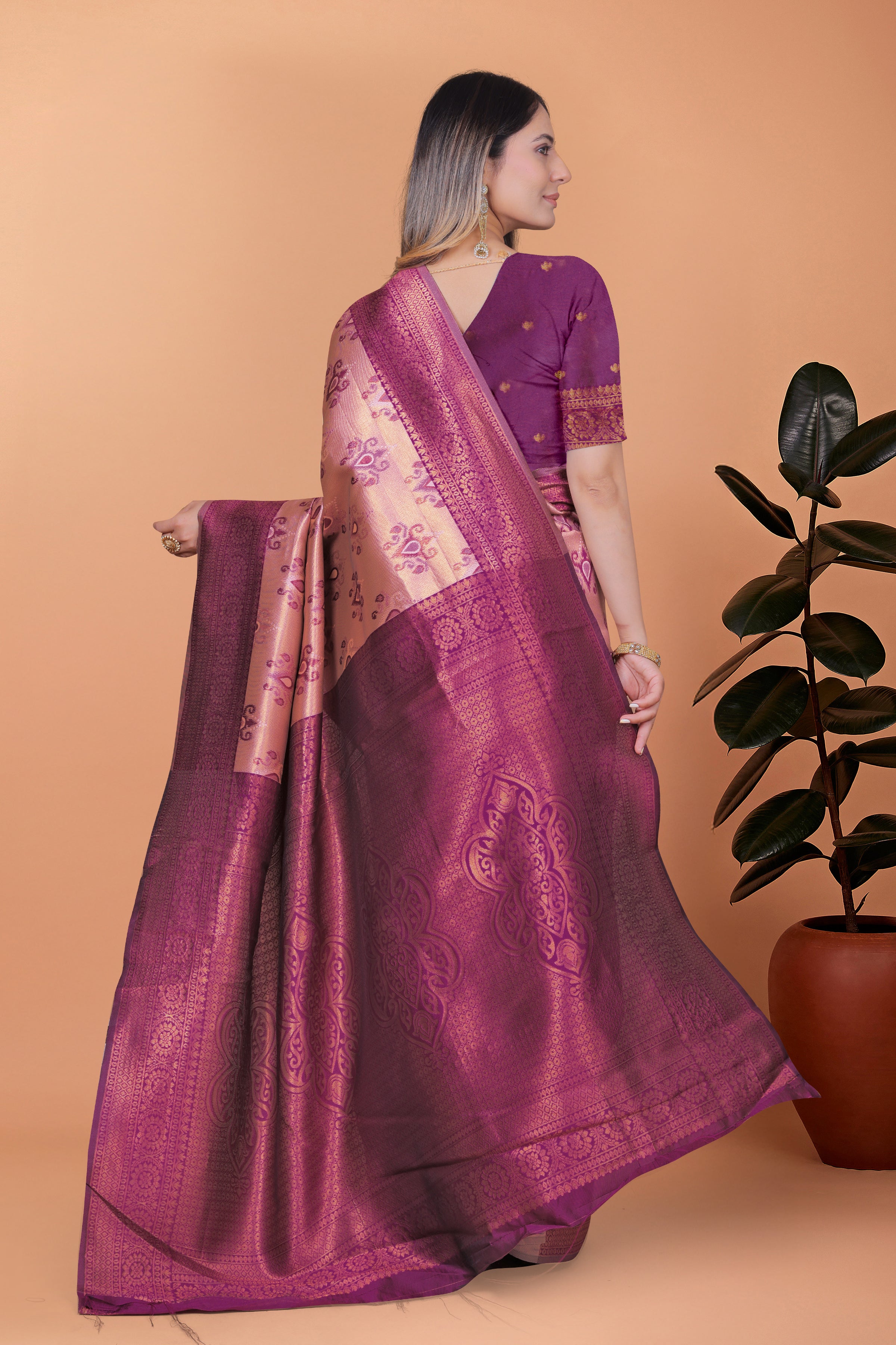 Royal Radiance Banarasi Silk Saree with 8 color option
