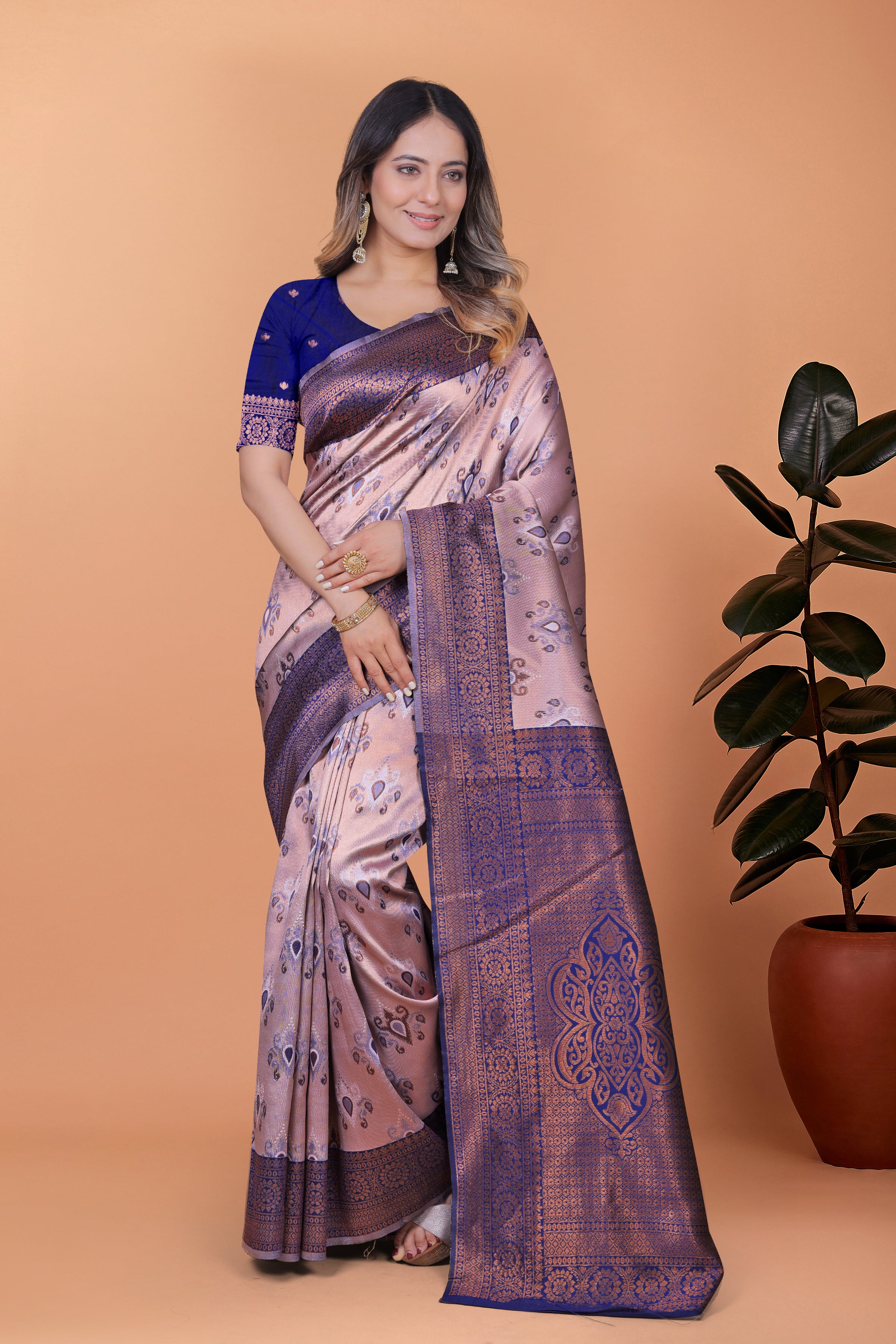 Royal Radiance Banarasi Silk Saree with 8 color option
