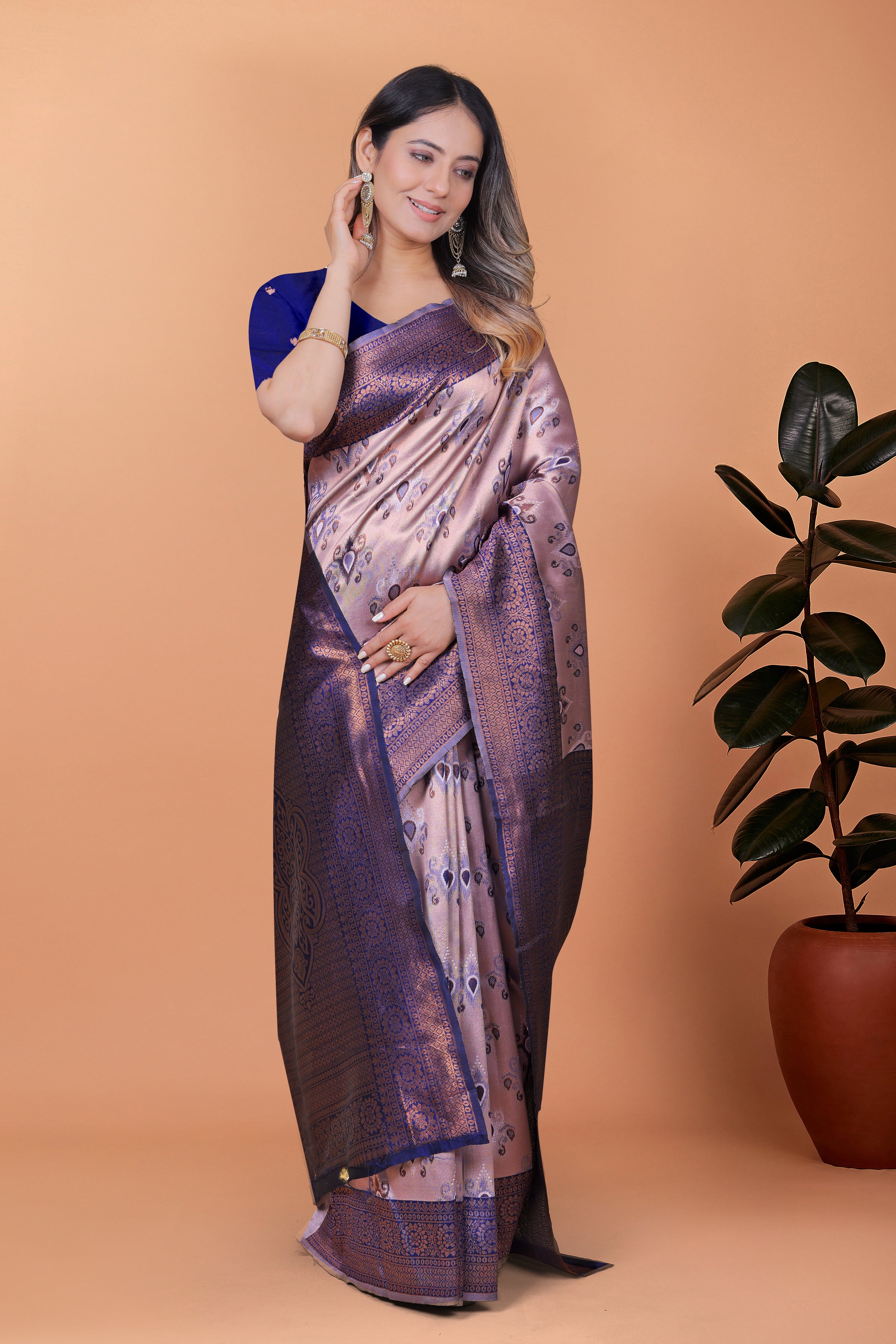 Royal Radiance Banarasi Silk Saree with 8 color option