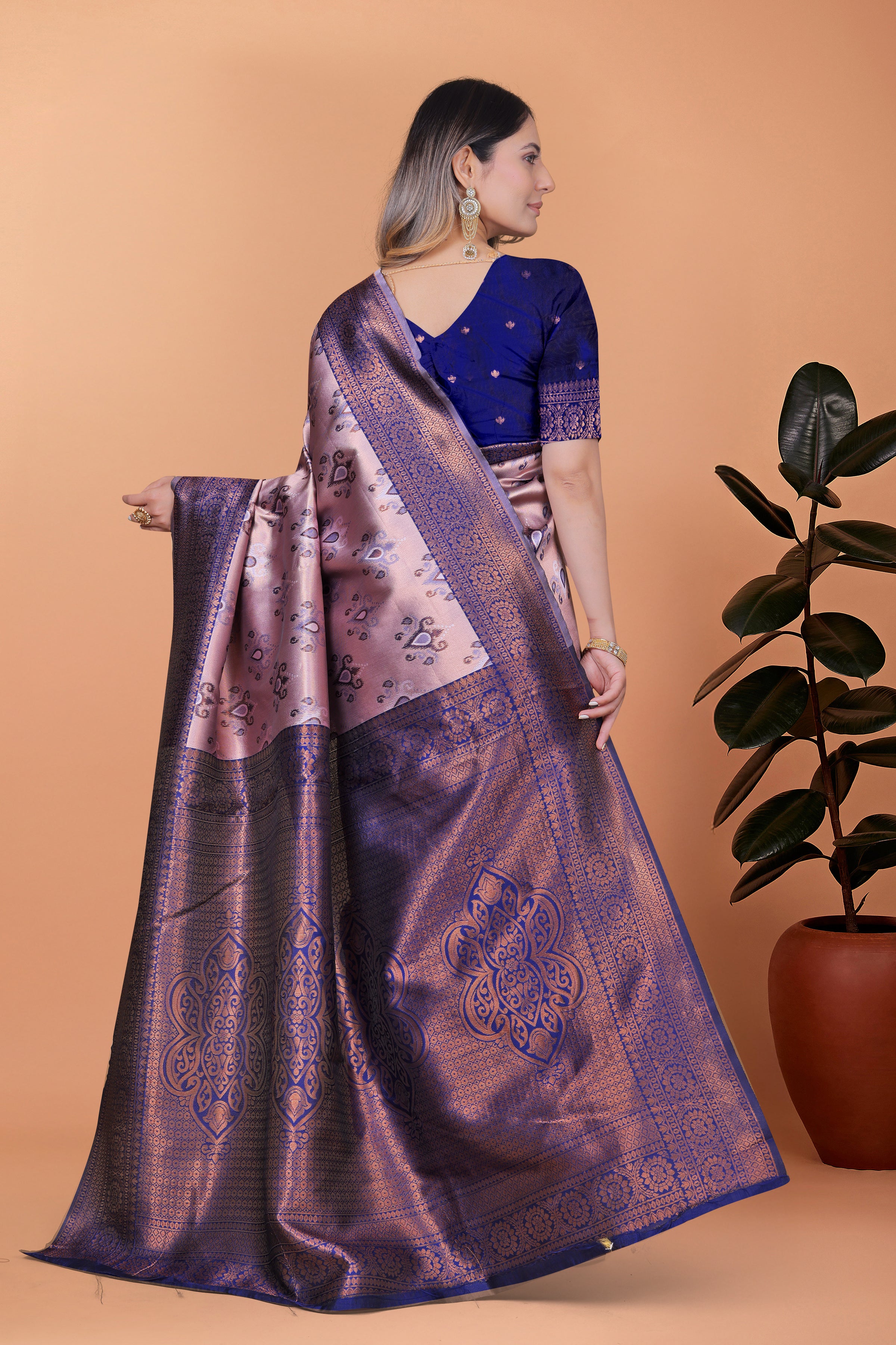 Royal Radiance Banarasi Silk Saree with 8 color option