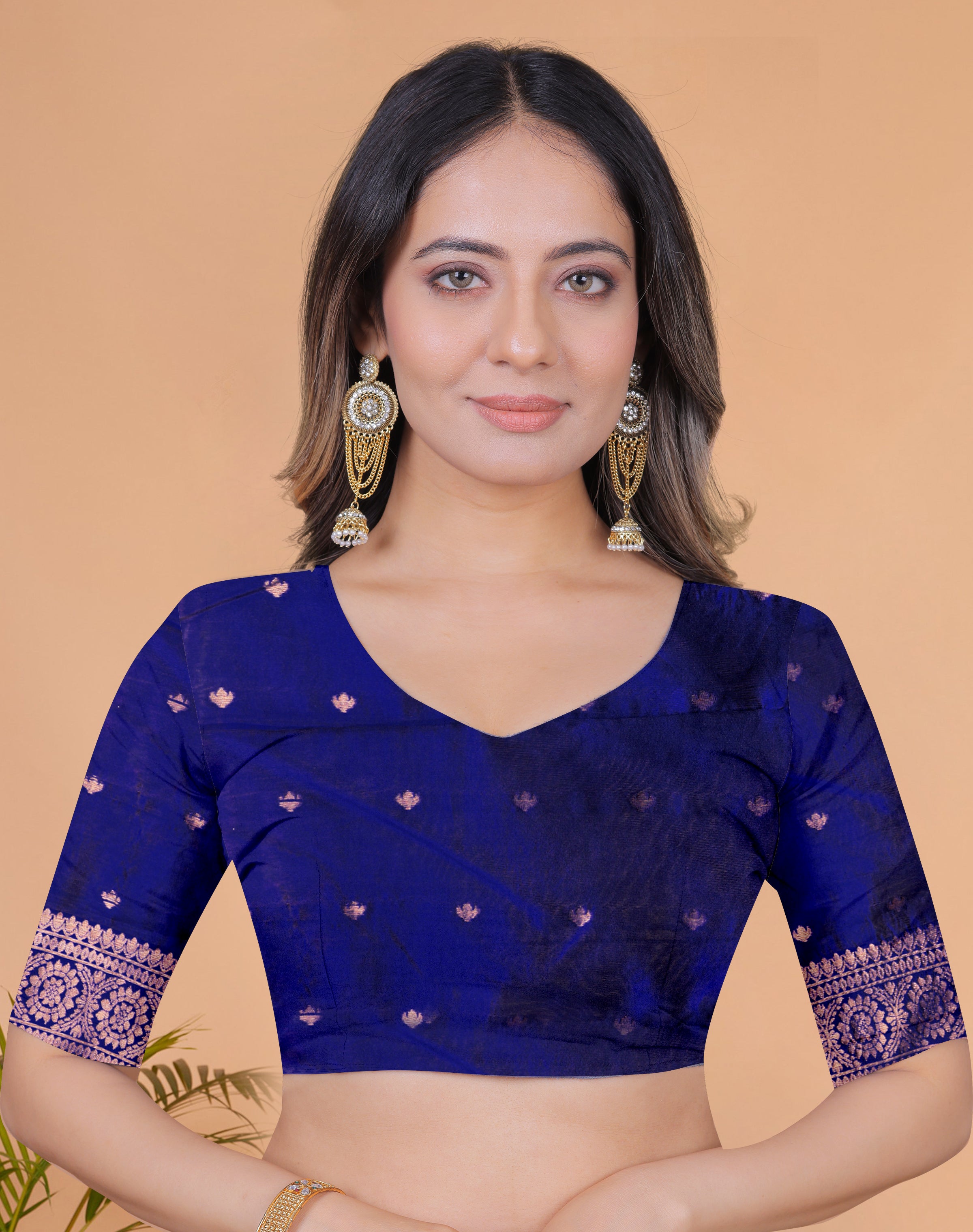 Royal Radiance Banarasi Silk Saree with 8 color option