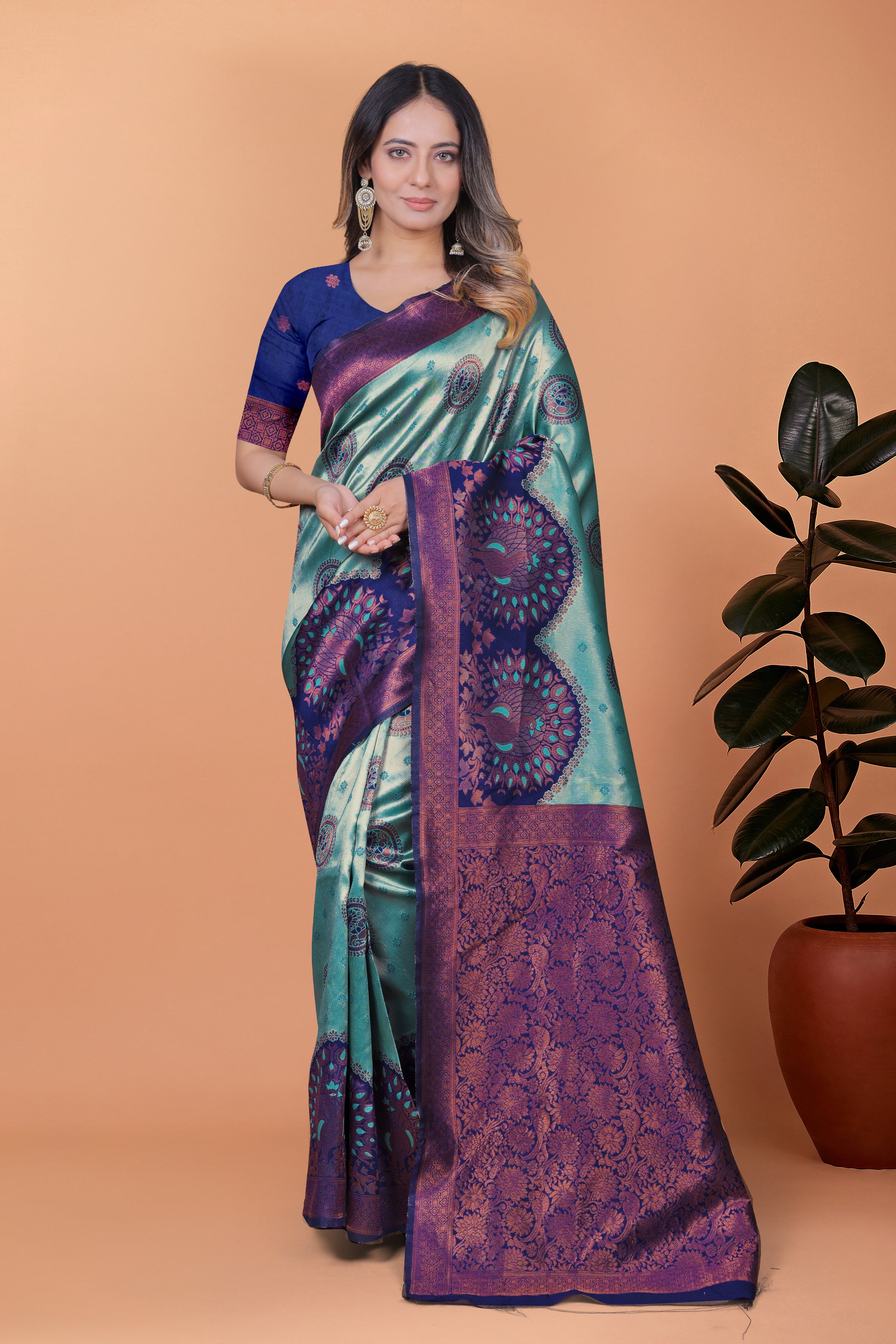 Banarasi Saree with Plum Borders with 8 Color