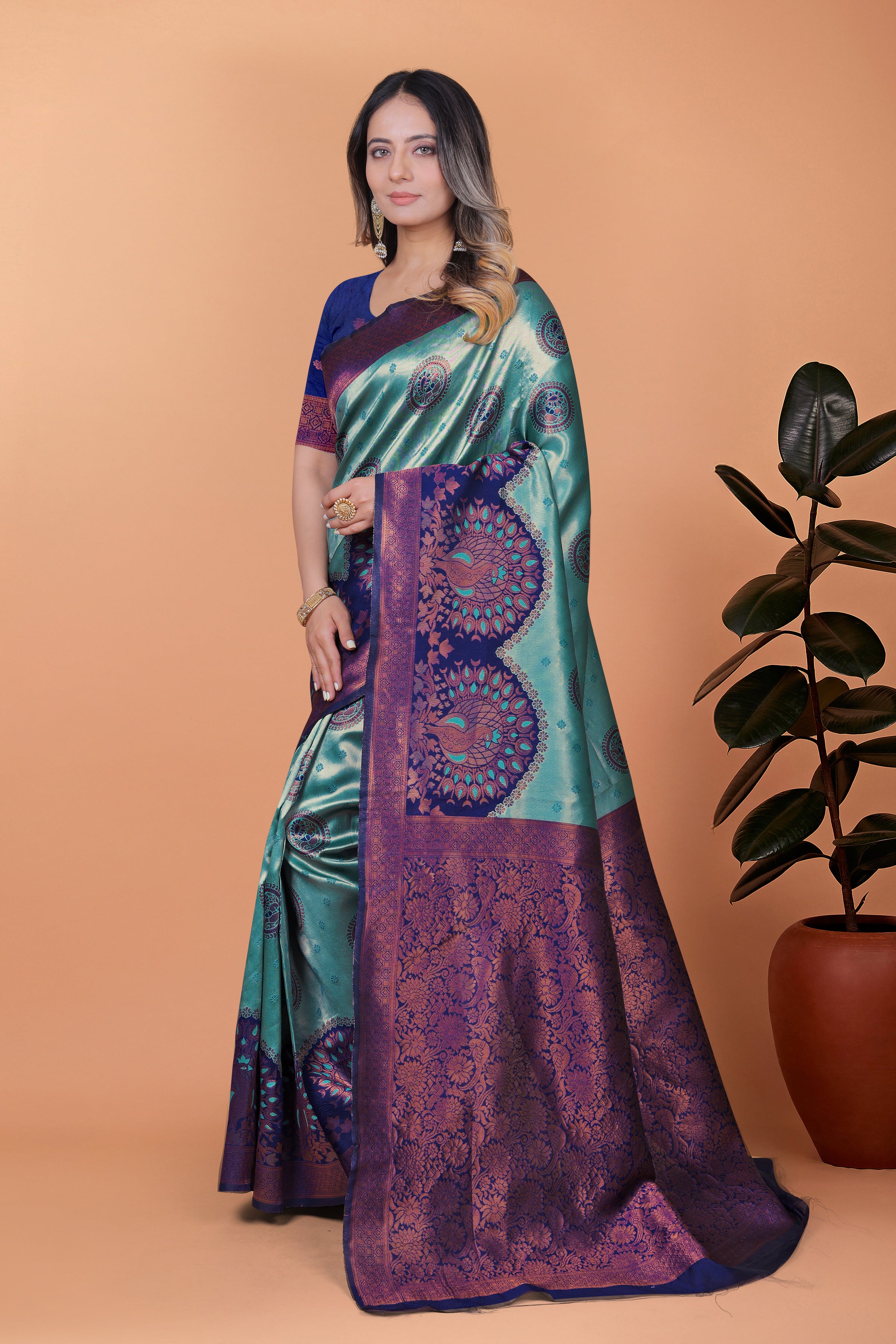 Banarasi Saree with Plum Borders with 8 Color