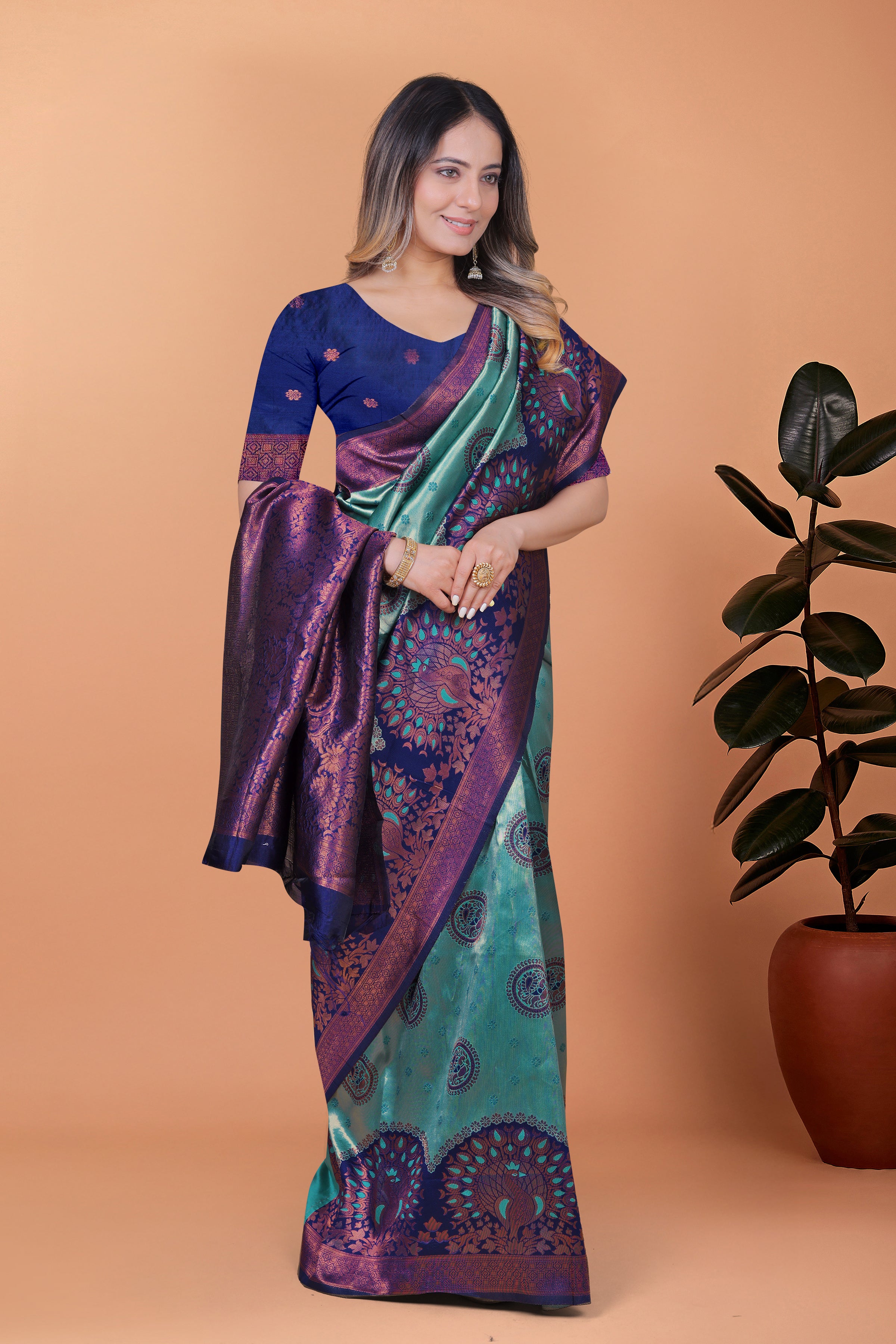 Banarasi Saree with Plum Borders with 8 Color