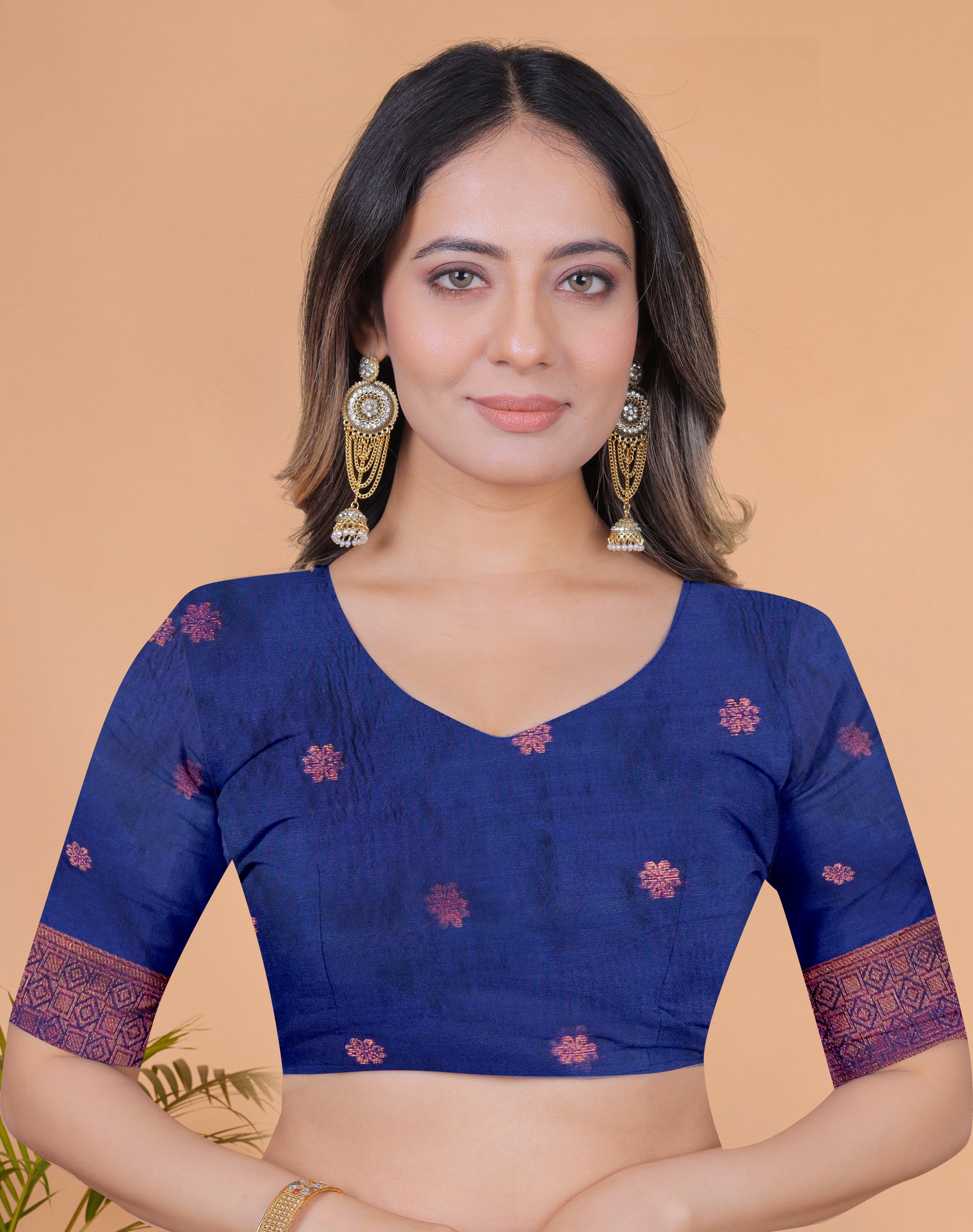 Banarasi Saree with Plum Borders with 8 Color